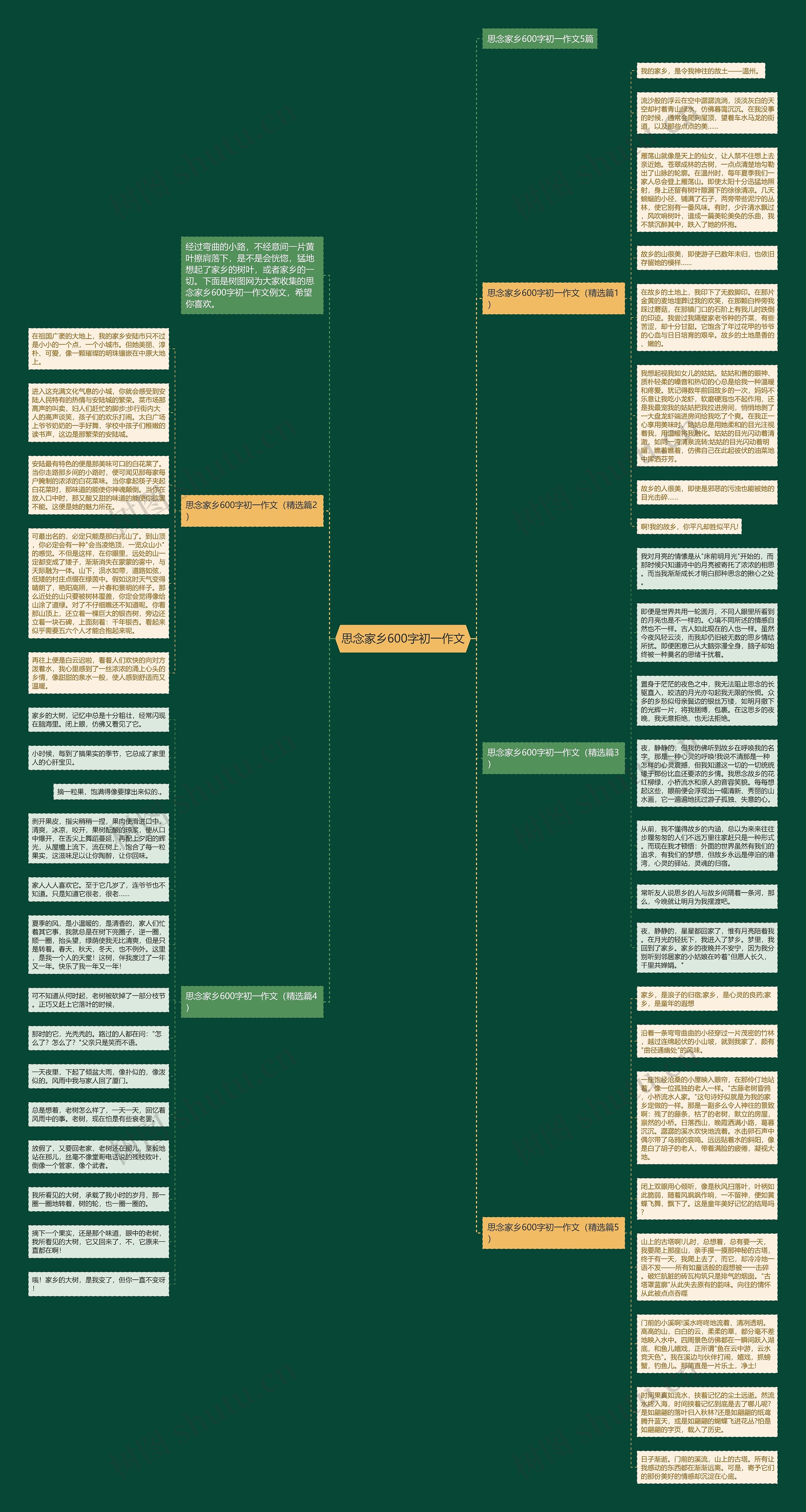 思念家乡600字初一作文