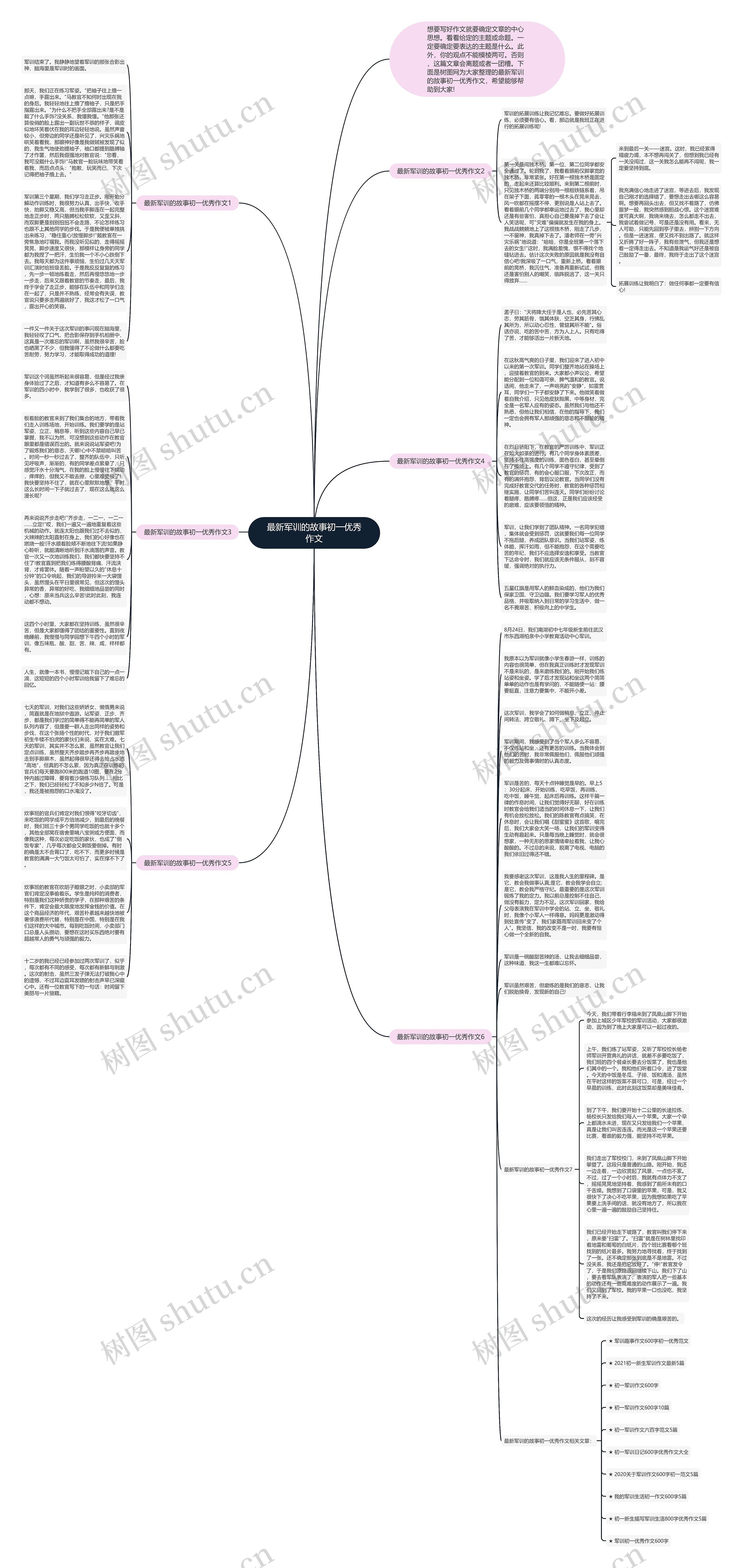 最新军训的故事初一优秀作文