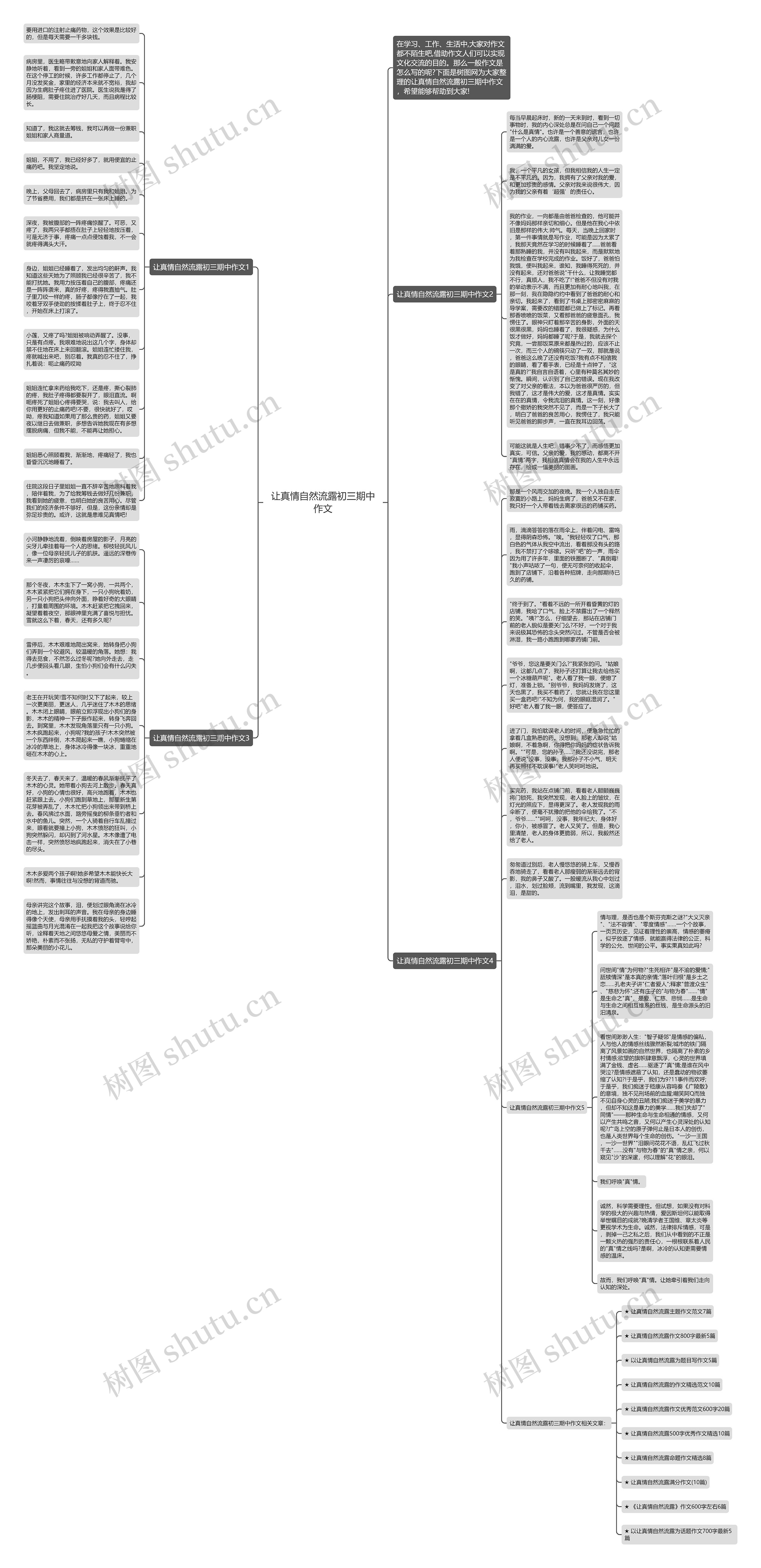 让真情自然流露初三期中作文思维导图