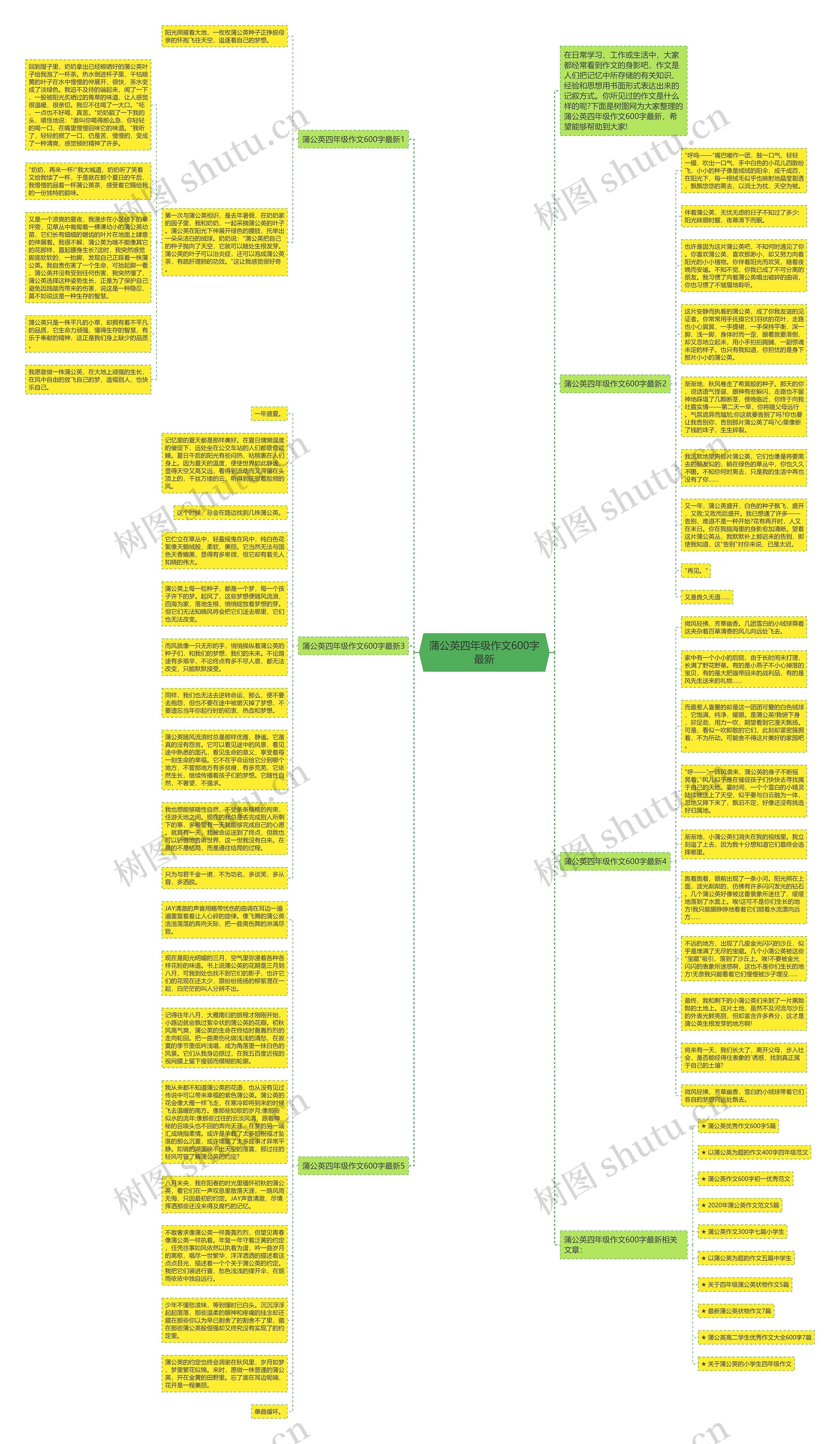 蒲公英四年级作文600字最新思维导图