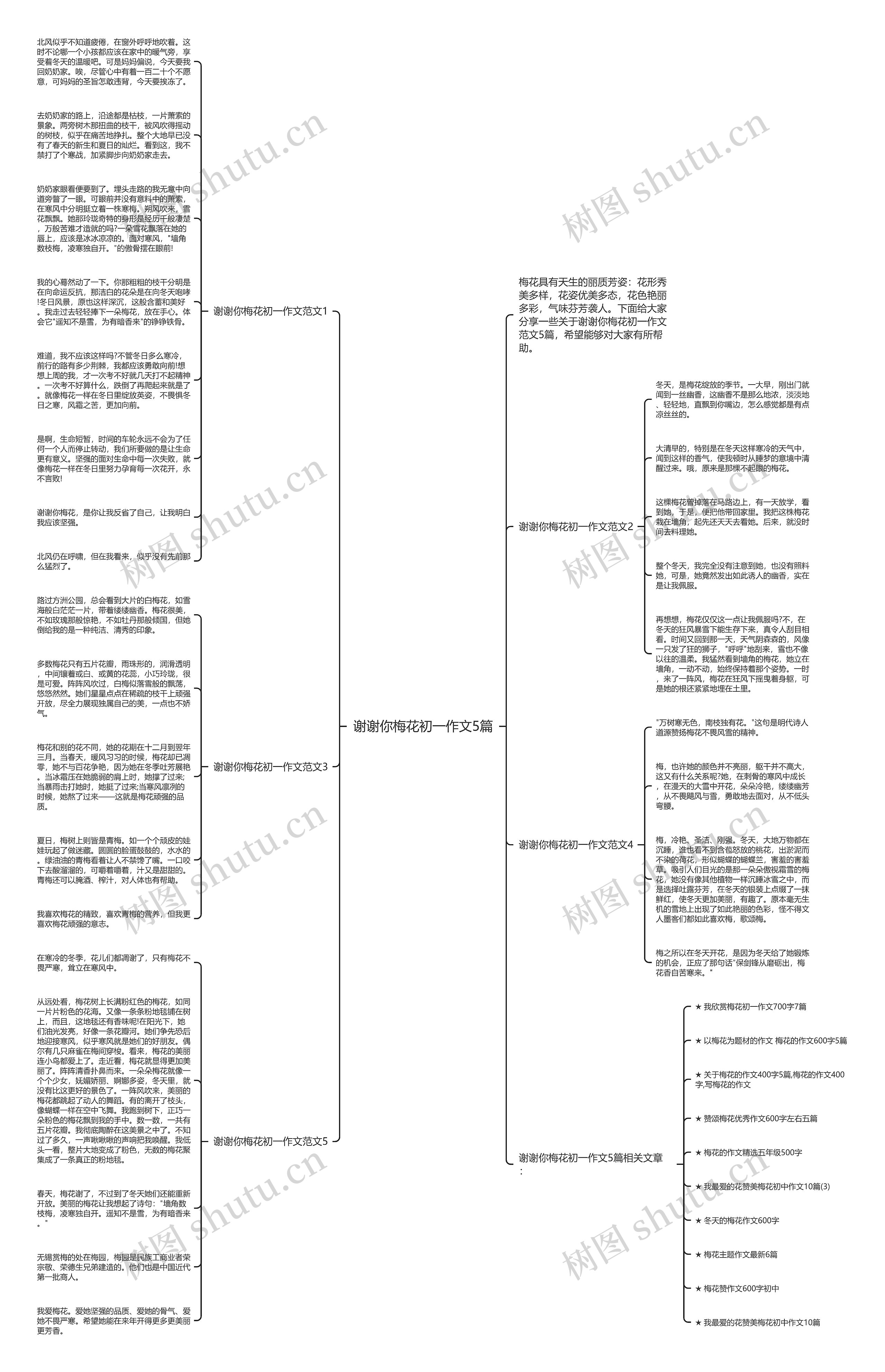 谢谢你梅花初一作文5篇思维导图