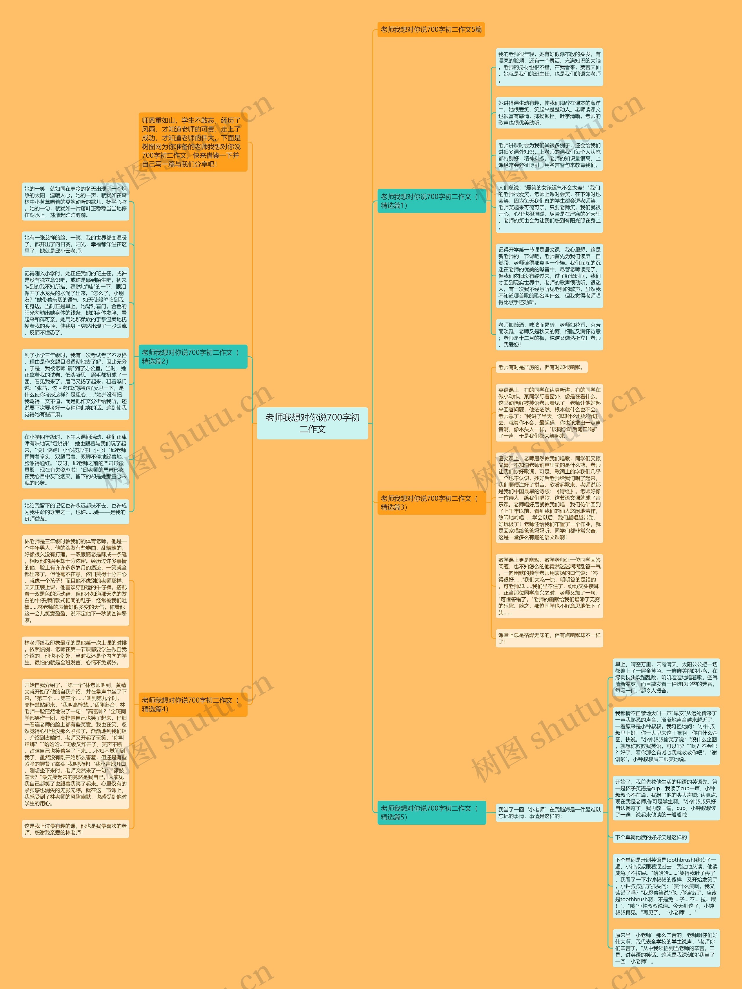 老师我想对你说700字初二作文