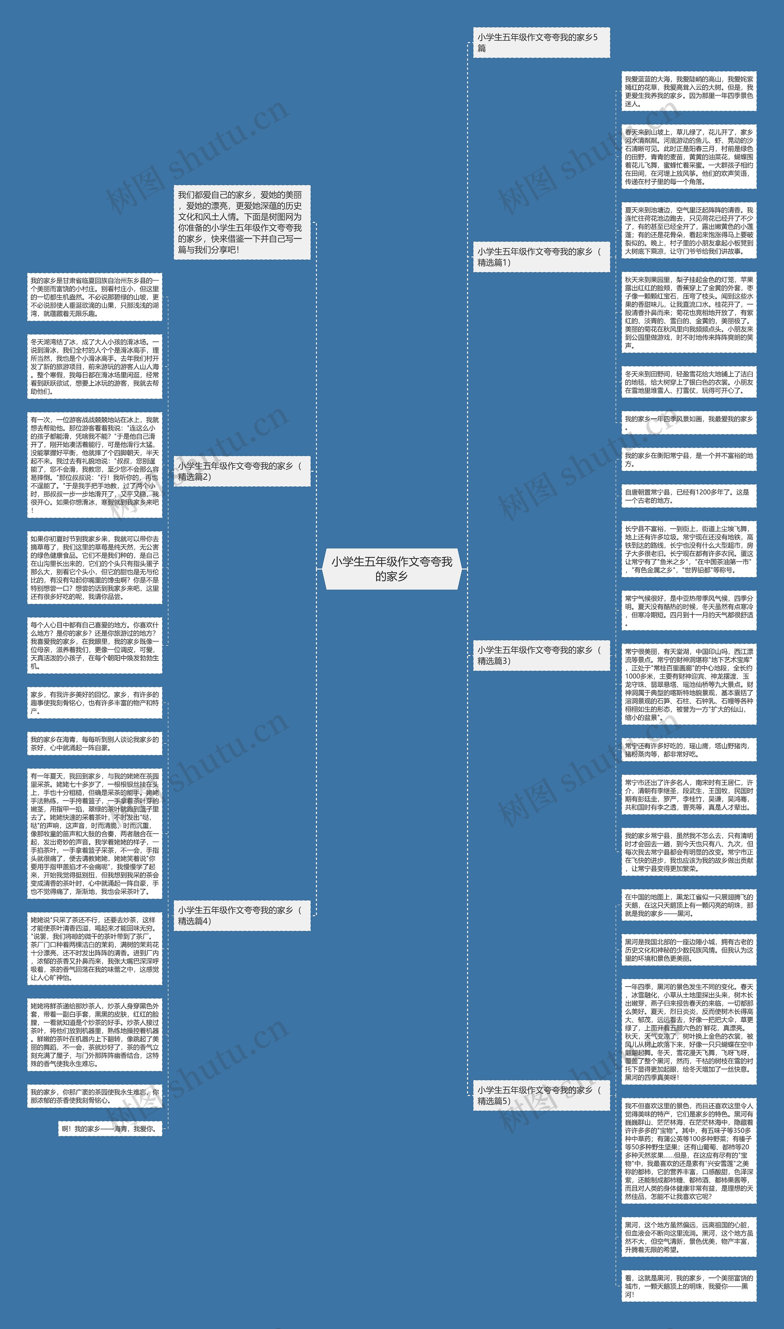 小学生五年级作文夸夸我的家乡思维导图