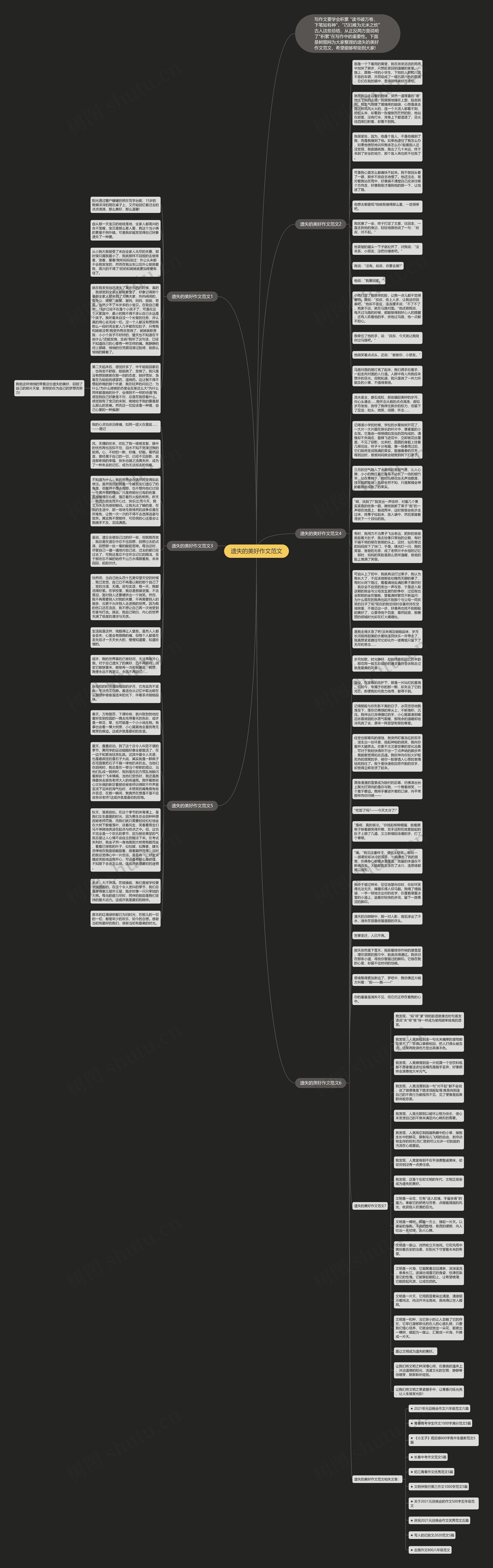 遗失的美好作文范文思维导图