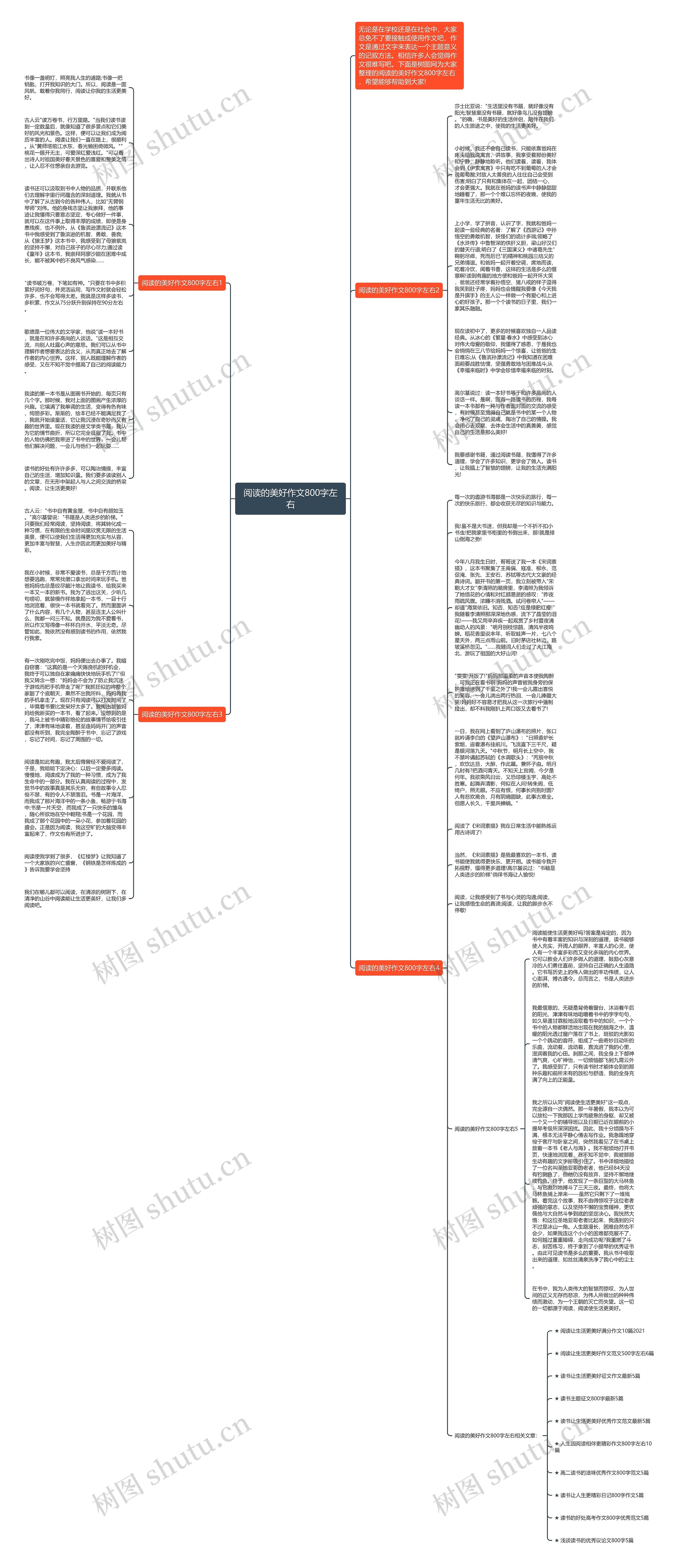 阅读的美好作文800字左右思维导图