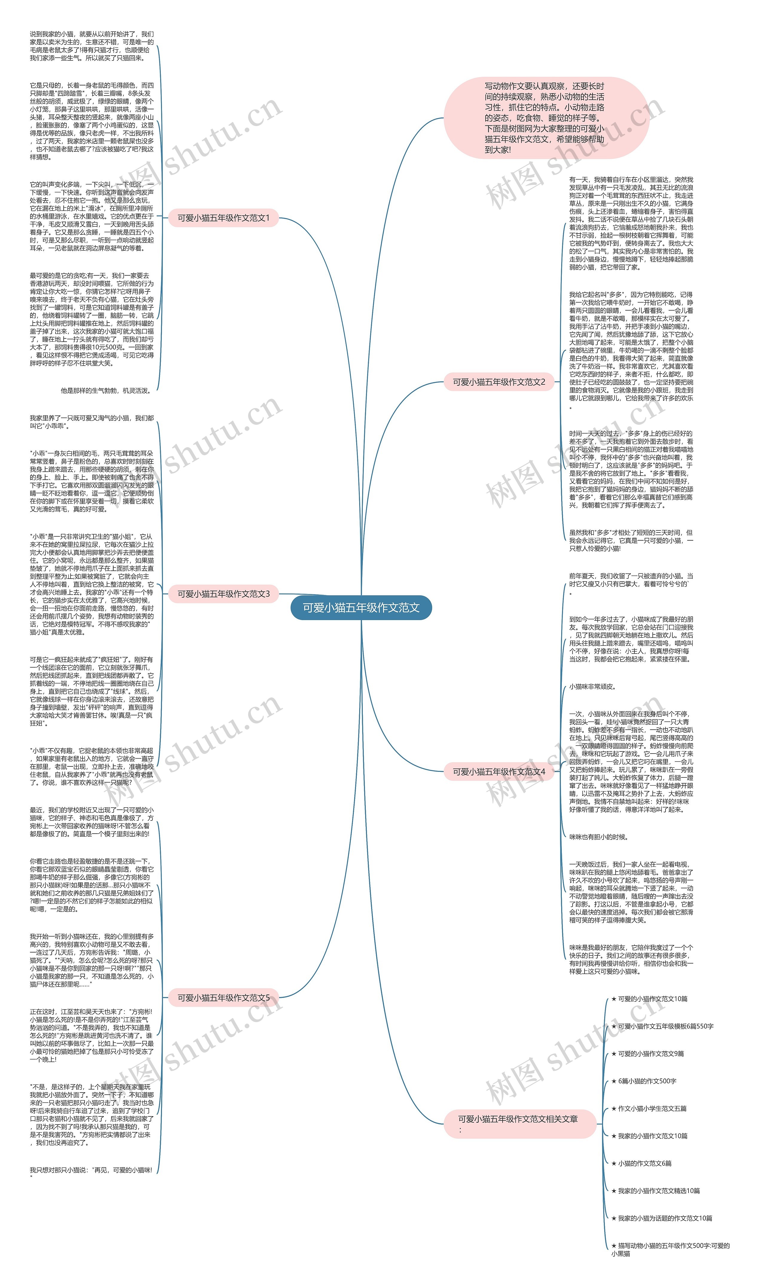 可爱小猫五年级作文范文思维导图