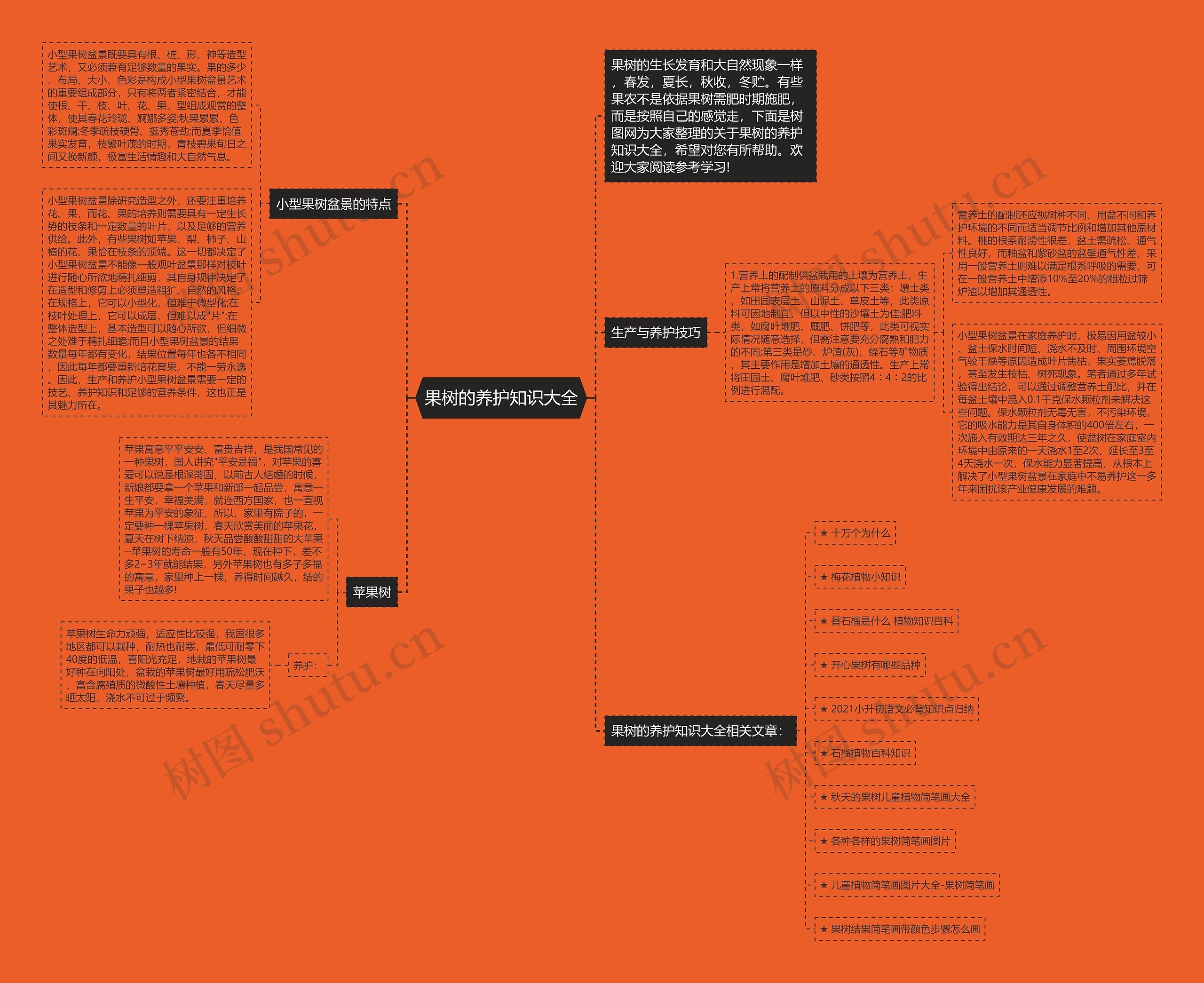 果树的养护知识大全思维导图