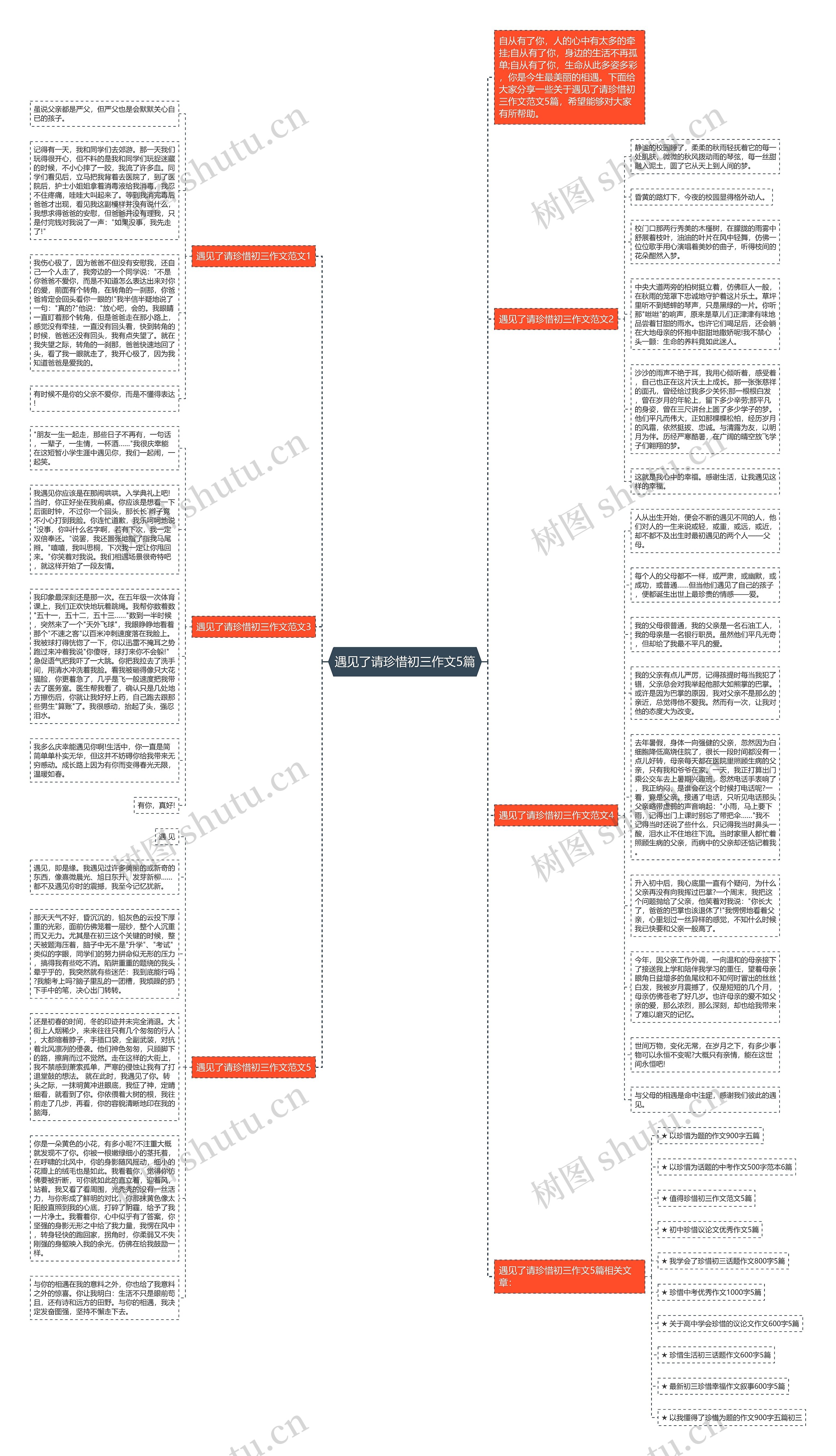 遇见了请珍惜初三作文5篇思维导图
