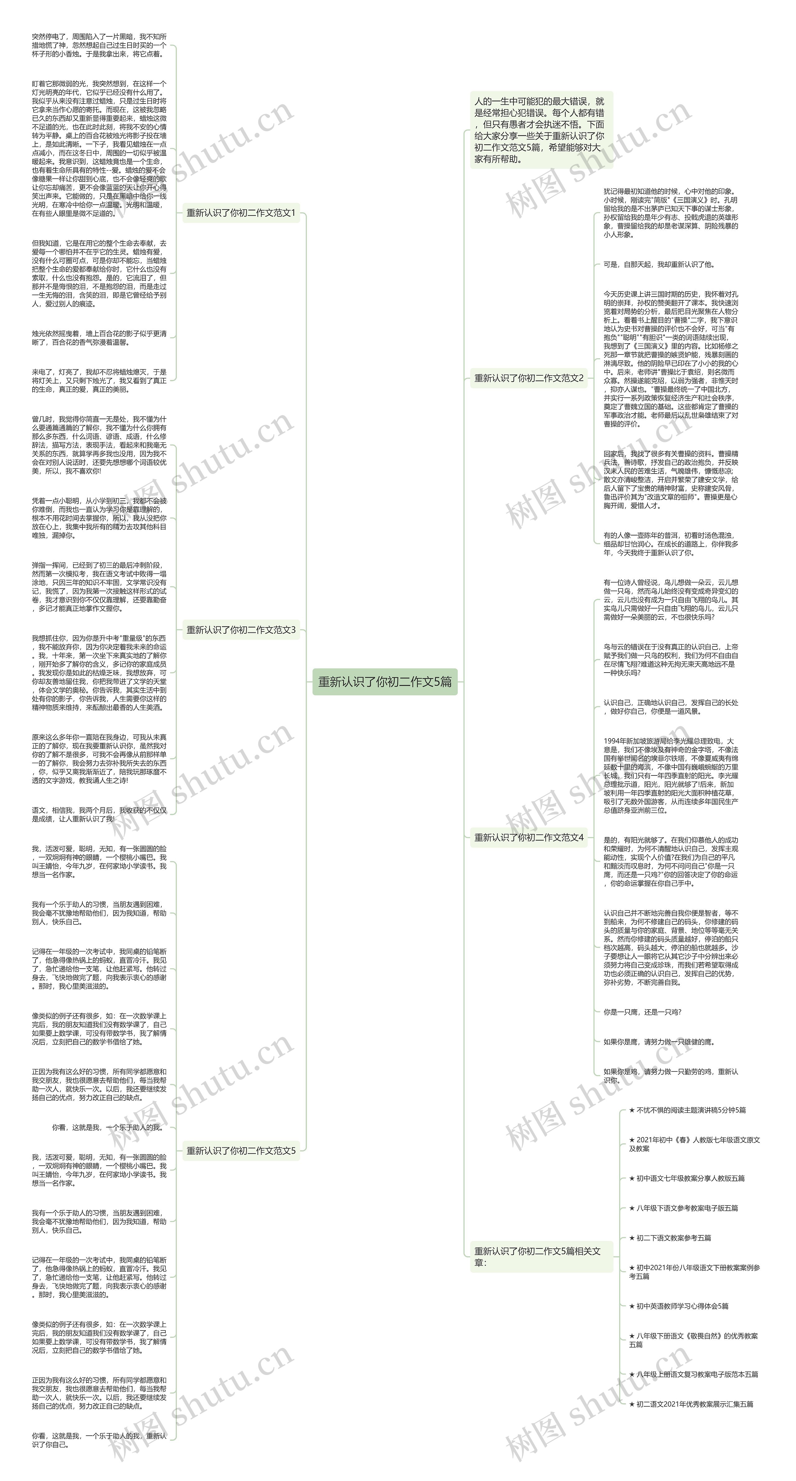 重新认识了你初二作文5篇