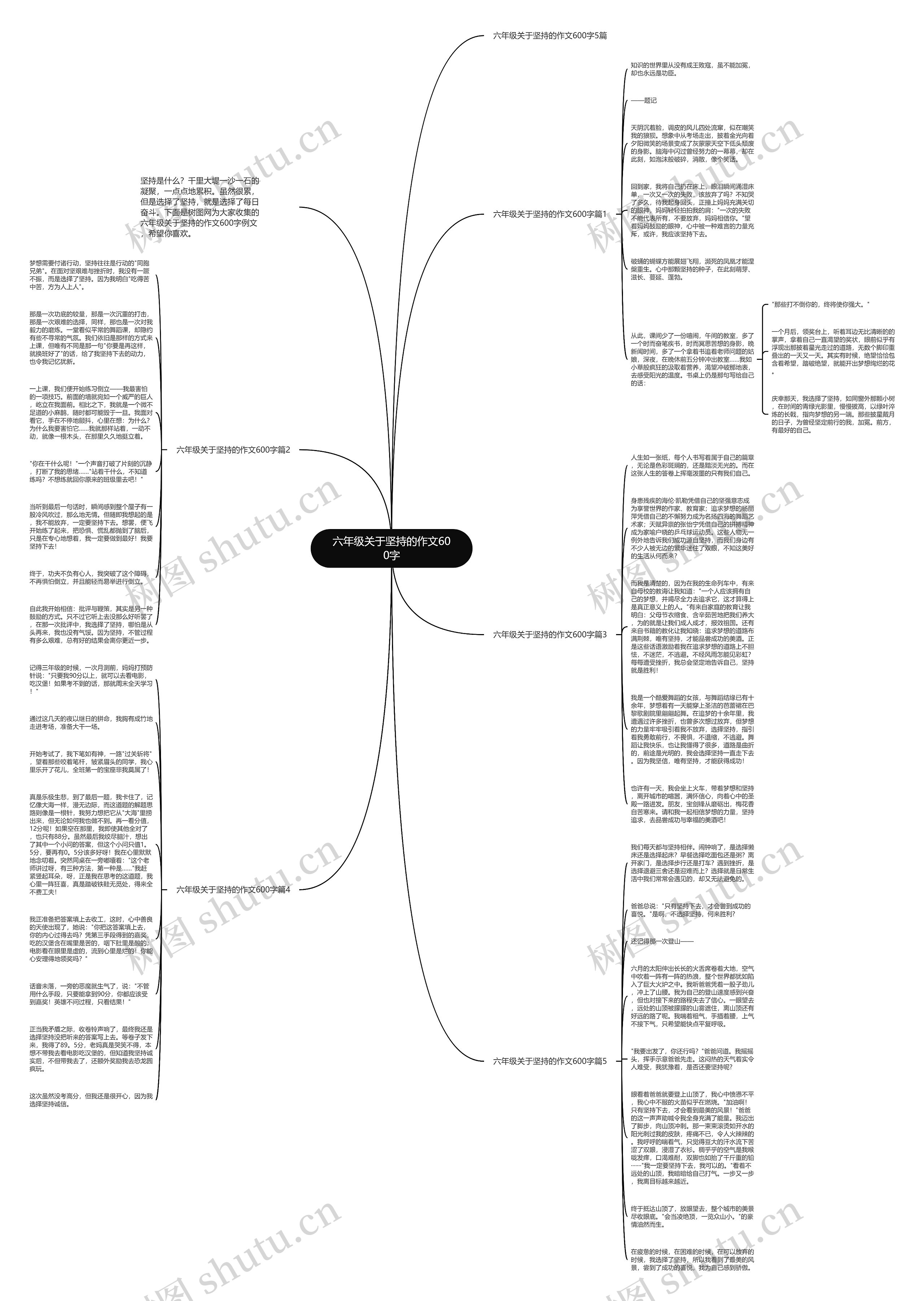 六年级关于坚持的作文600字思维导图