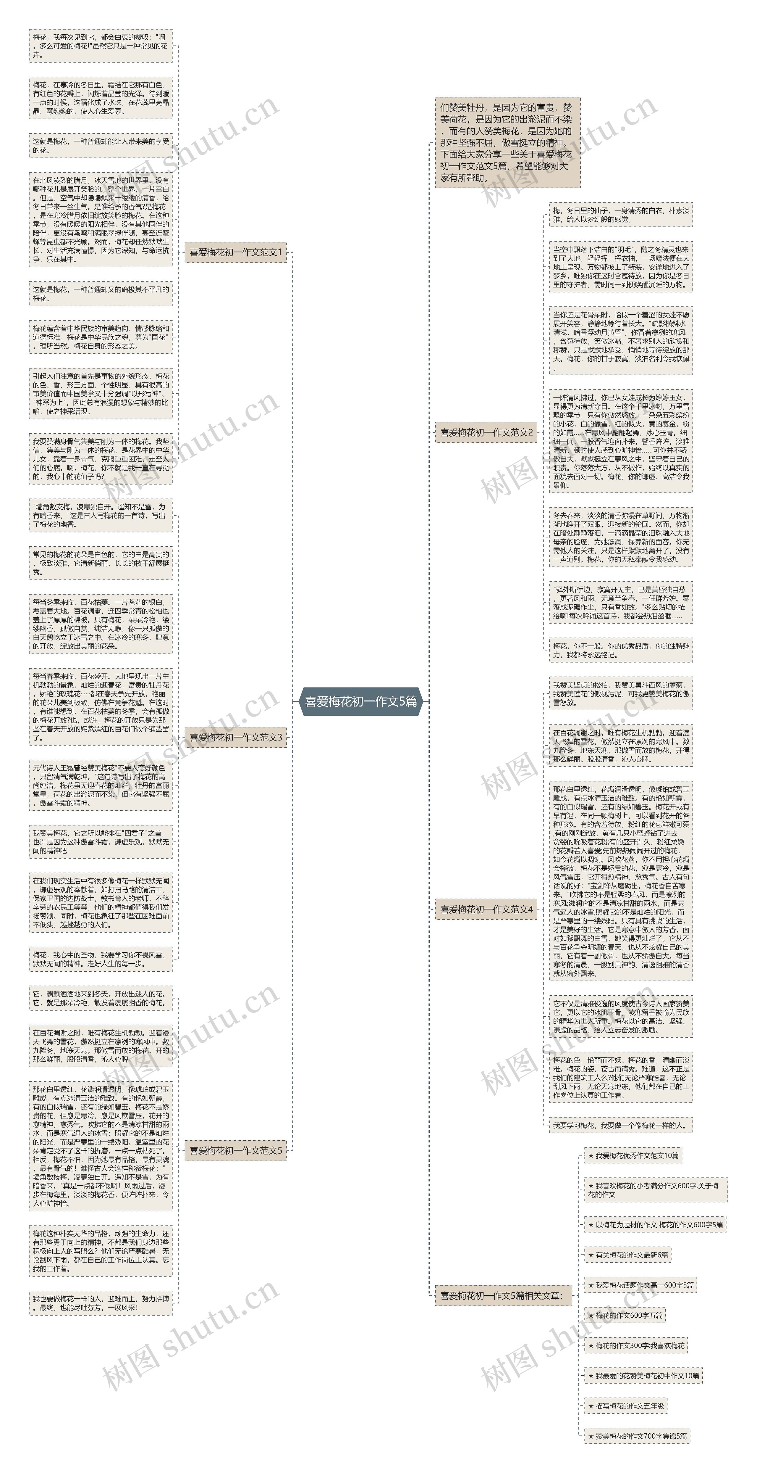 喜爱梅花初一作文5篇