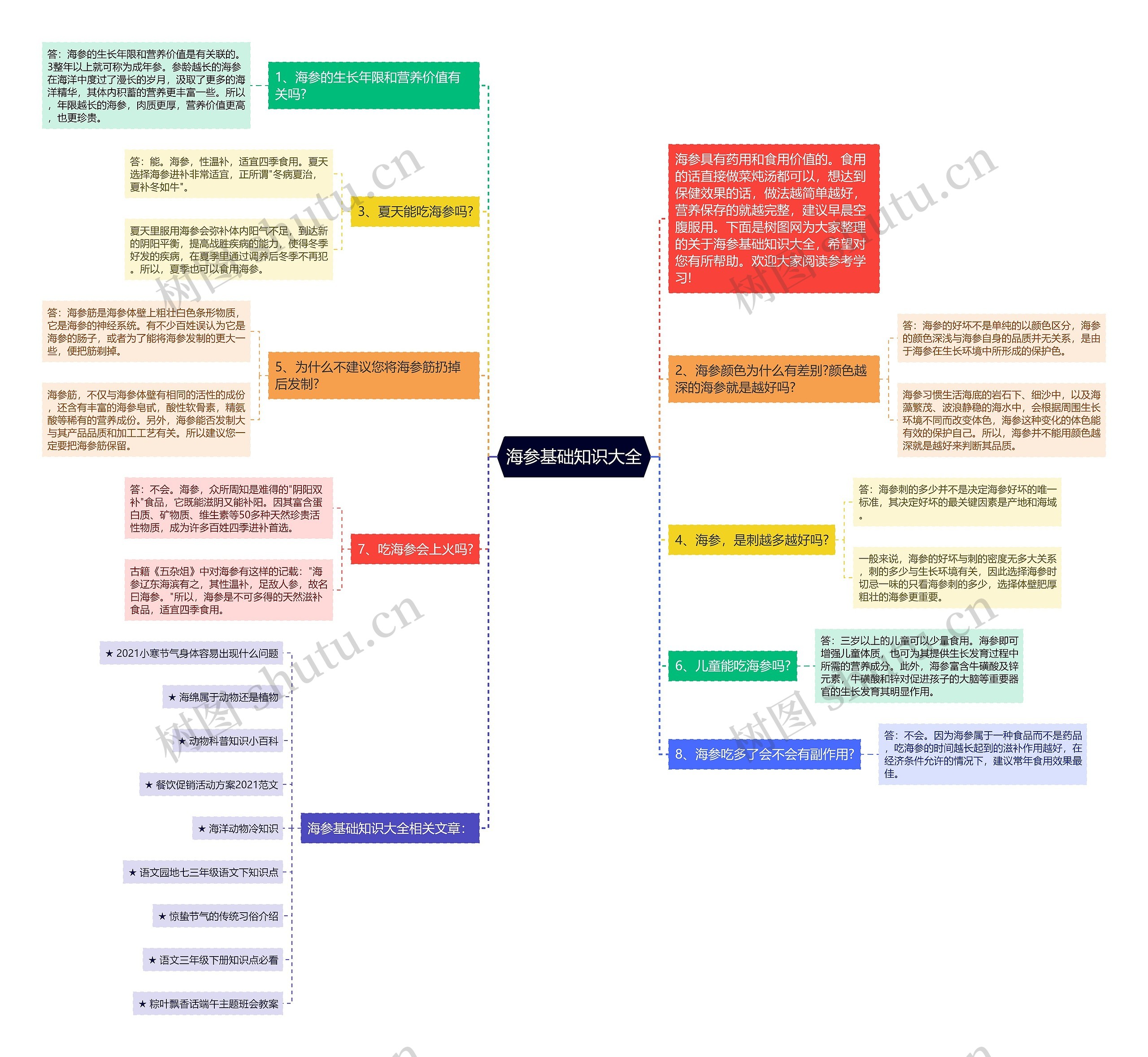 海参基础知识大全思维导图