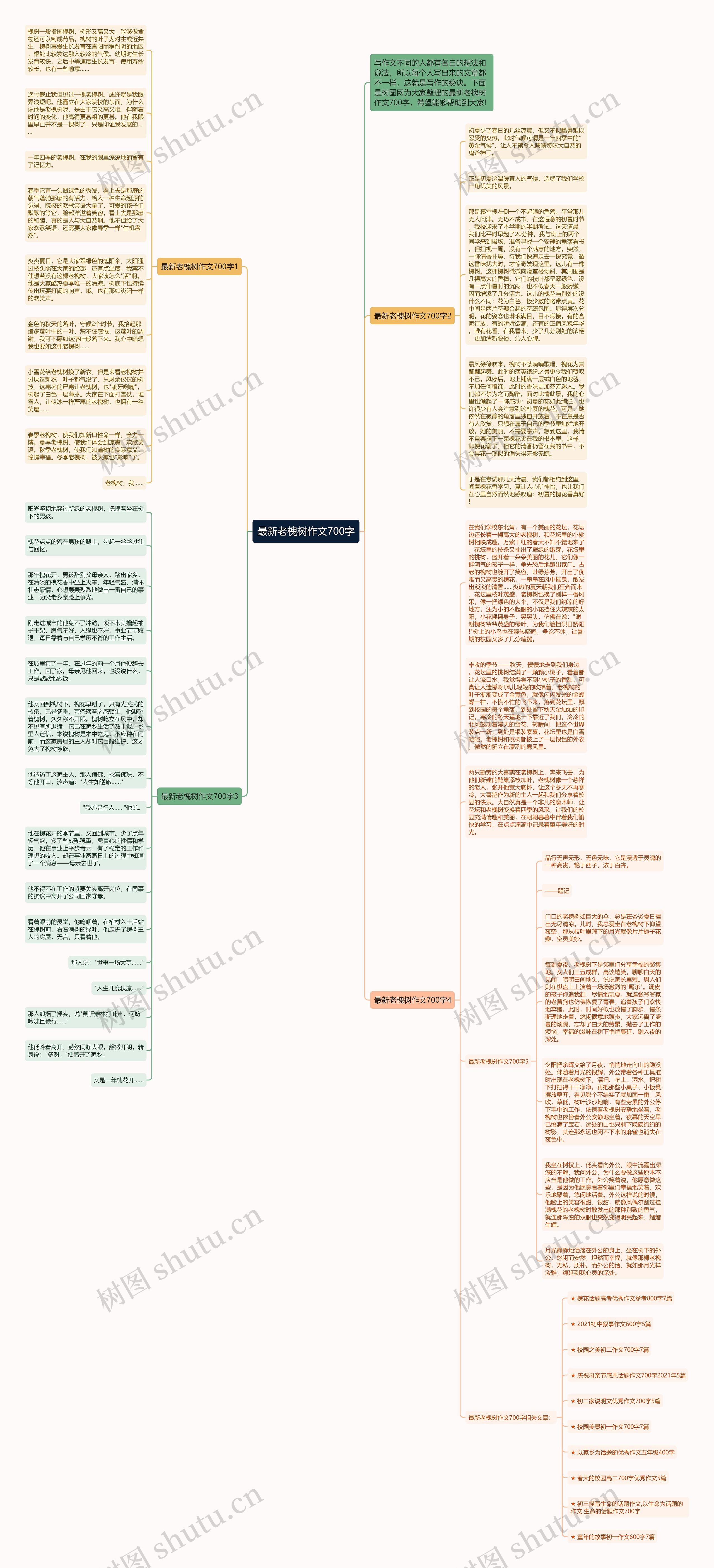 最新老槐树作文700字思维导图