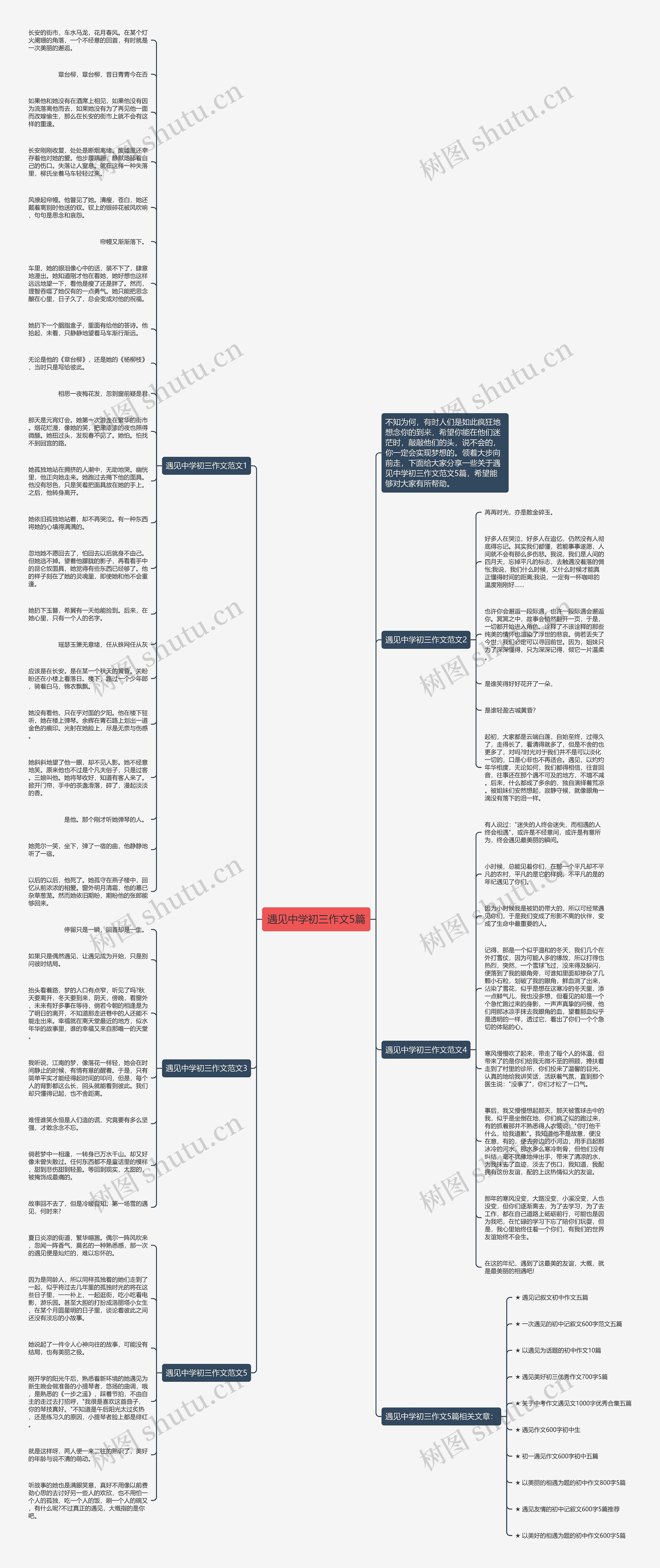 遇见中学初三作文5篇思维导图