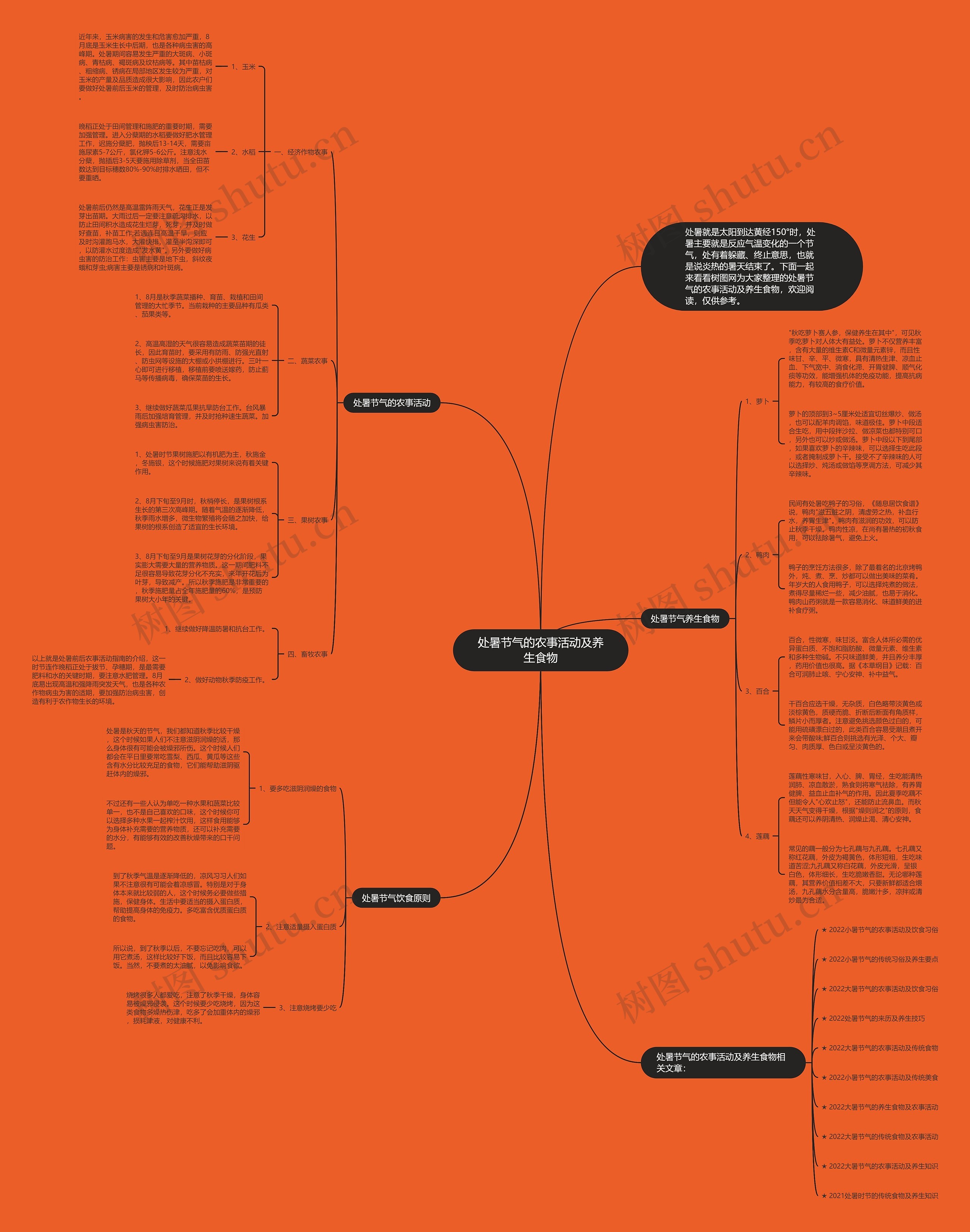 处暑节气的农事活动及养生食物思维导图