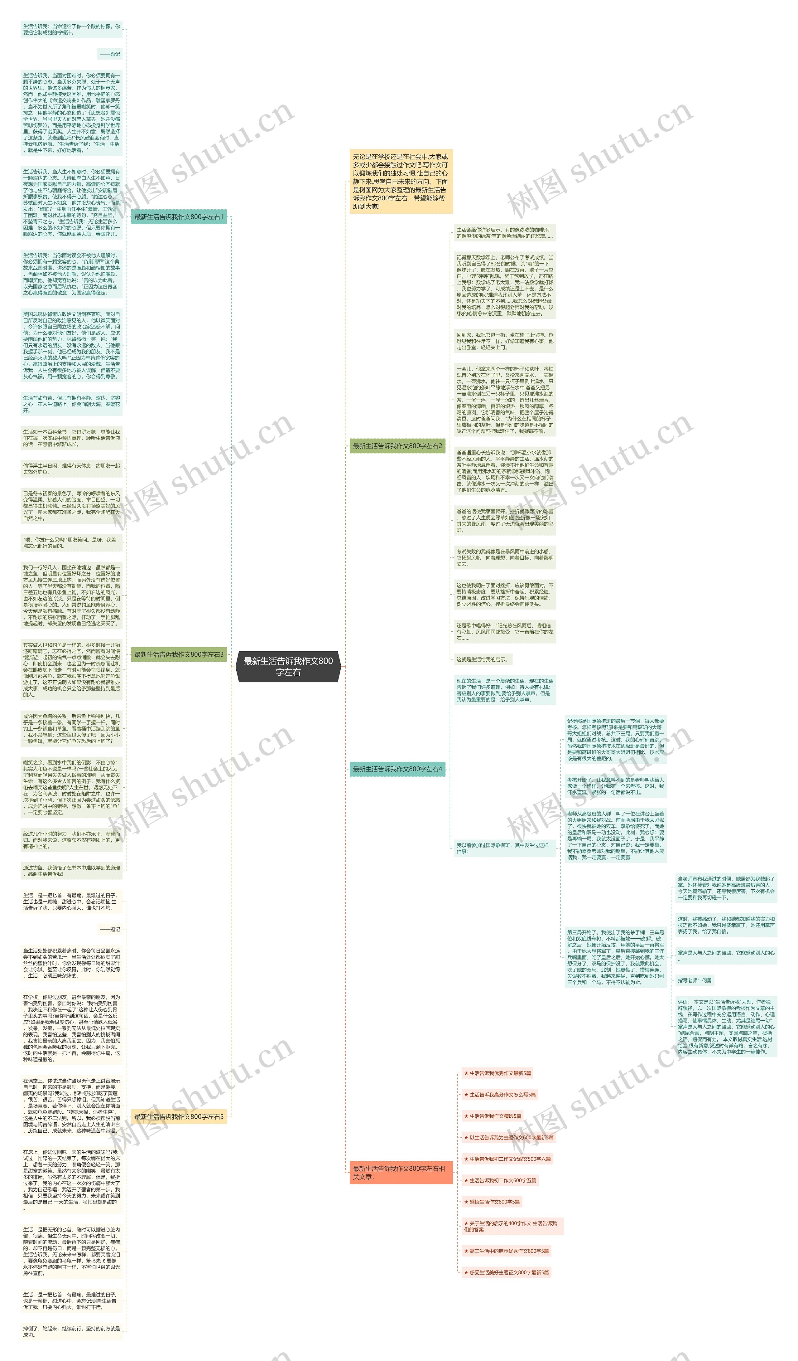 最新生活告诉我作文800字左右思维导图