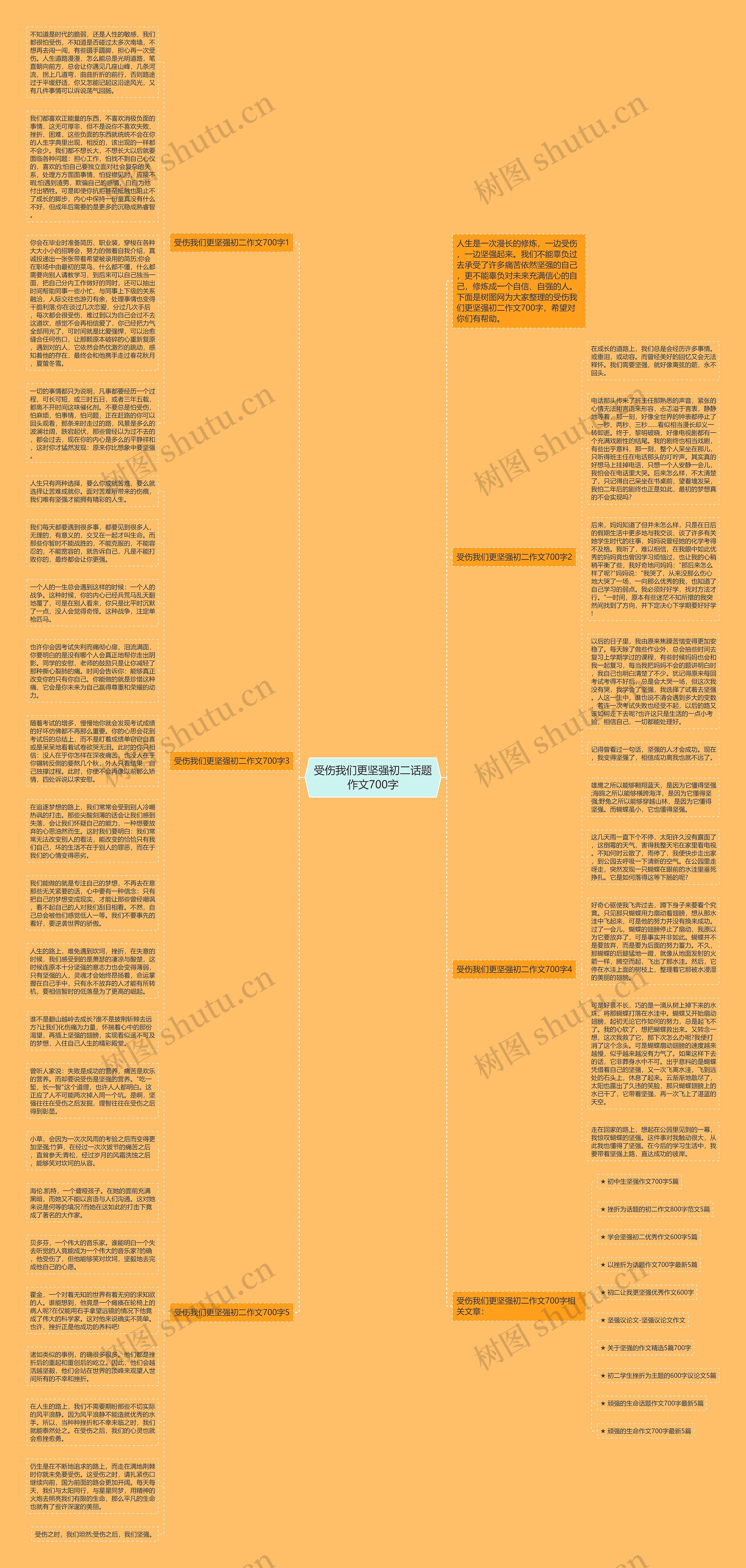 受伤我们更坚强初二话题作文700字思维导图
