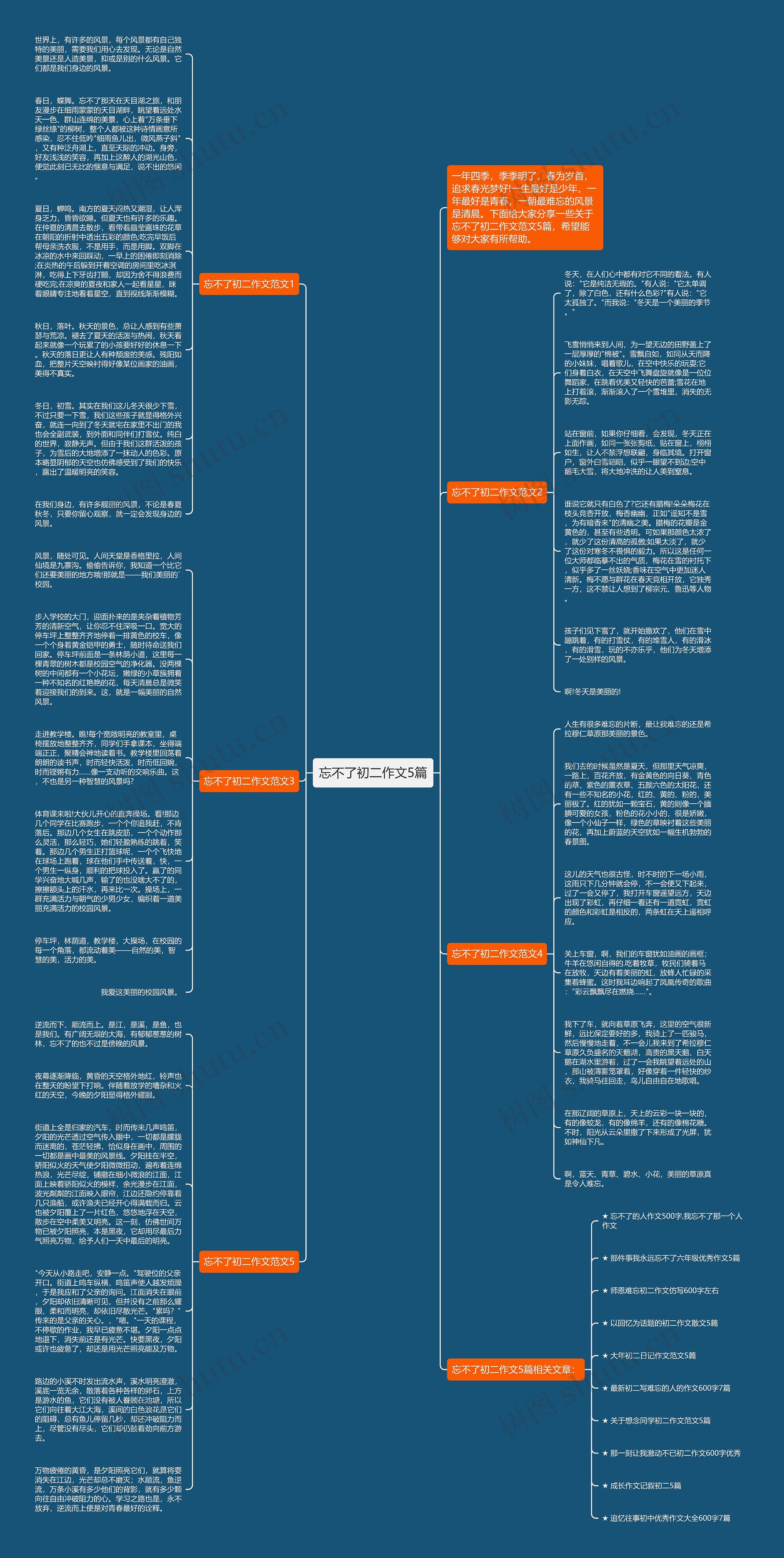 忘不了初二作文5篇思维导图
