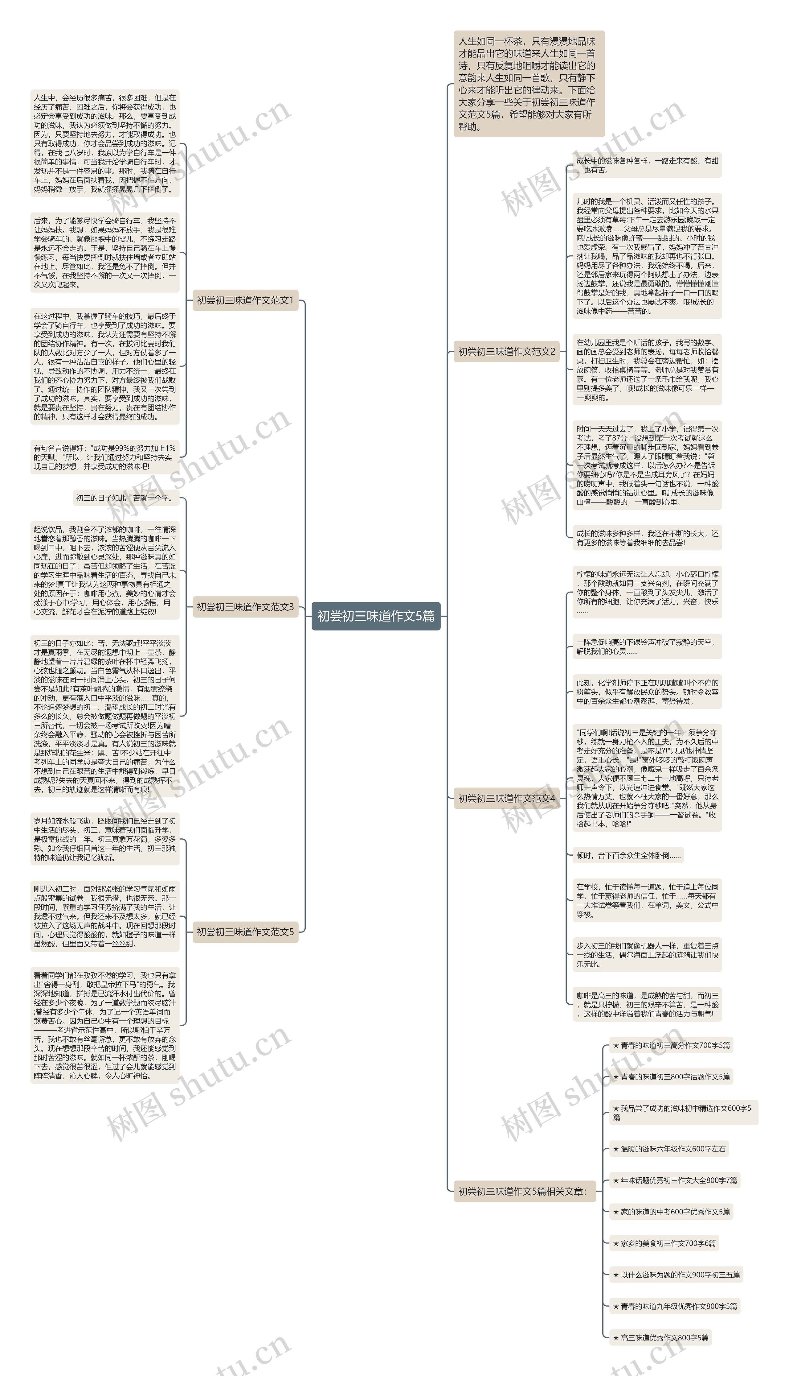 初尝初三味道作文5篇思维导图