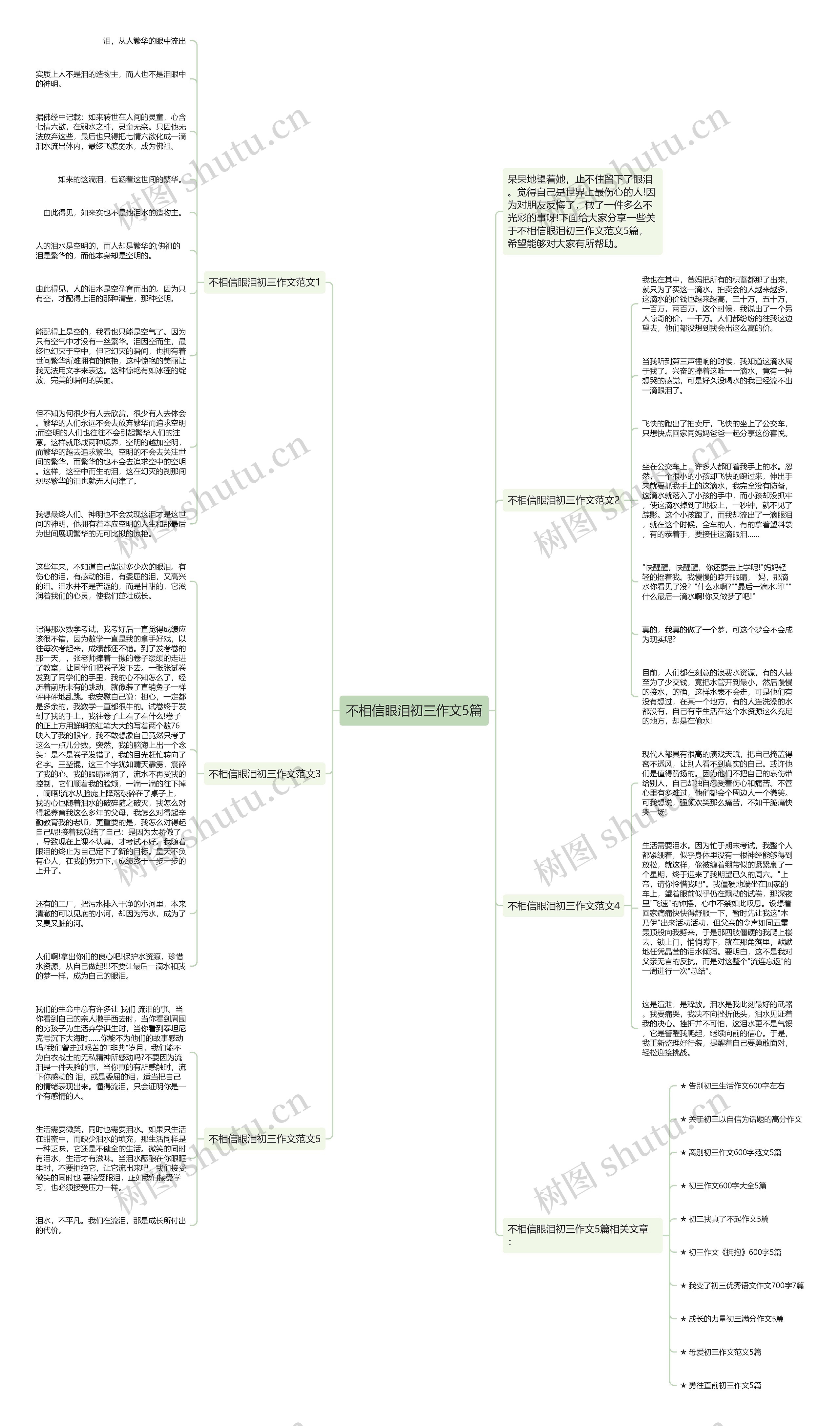 不相信眼泪初三作文5篇思维导图