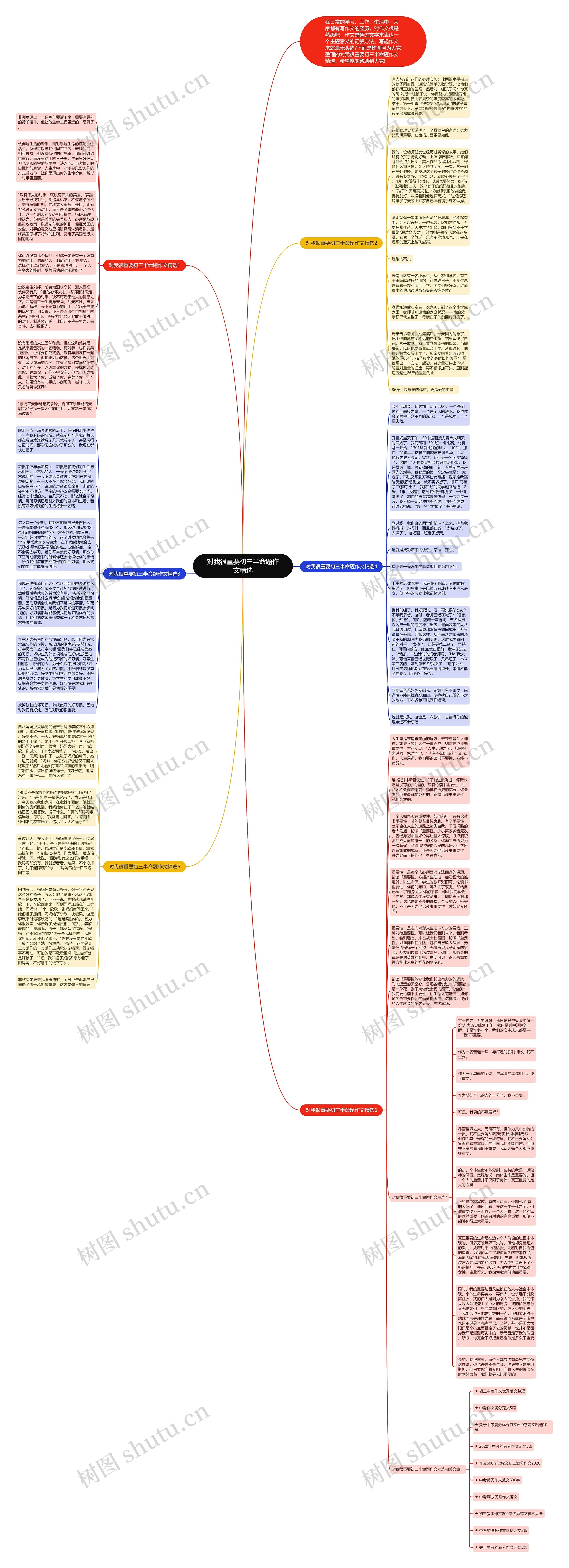 对我很重要初三半命题作文精选思维导图