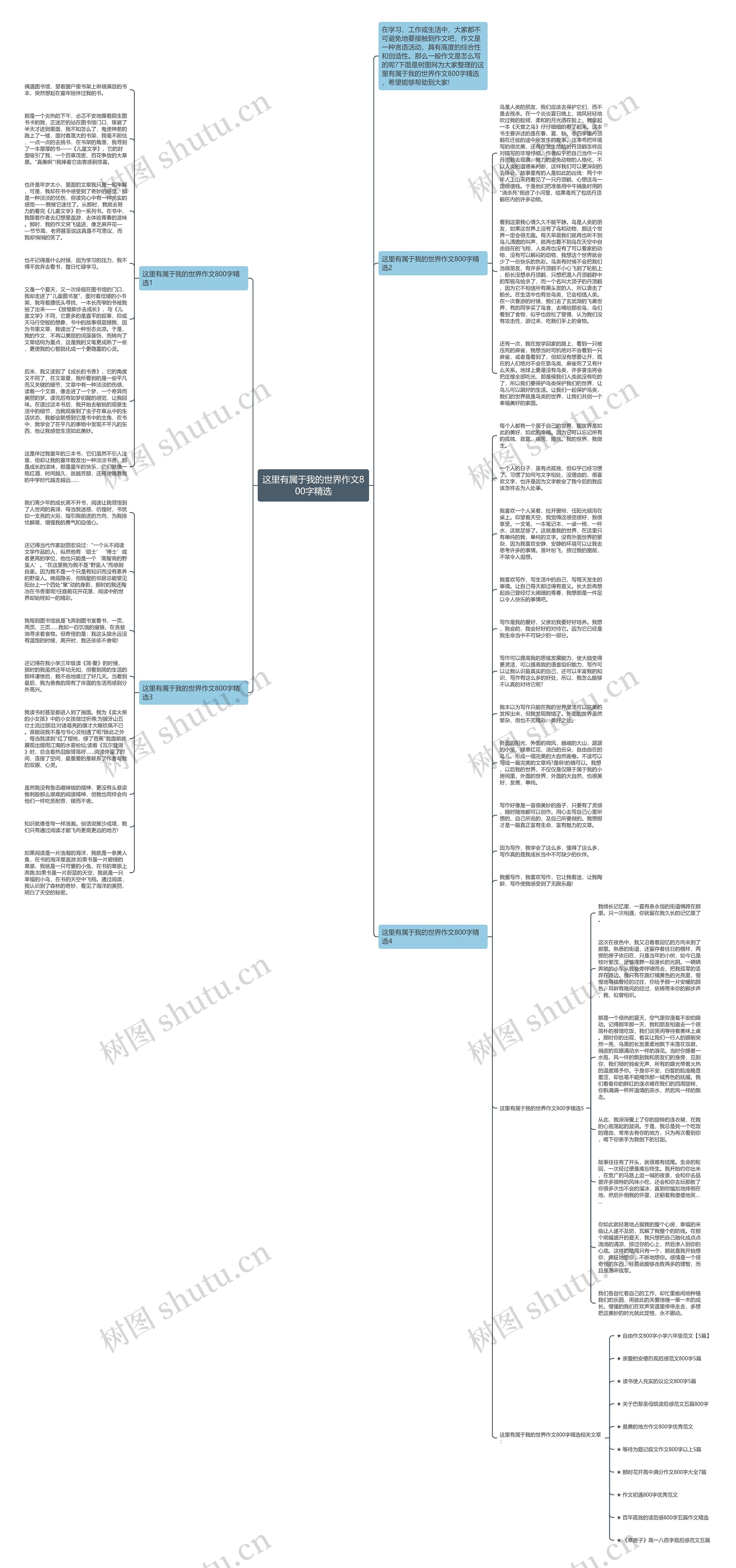 这里有属于我的世界作文800字精选思维导图