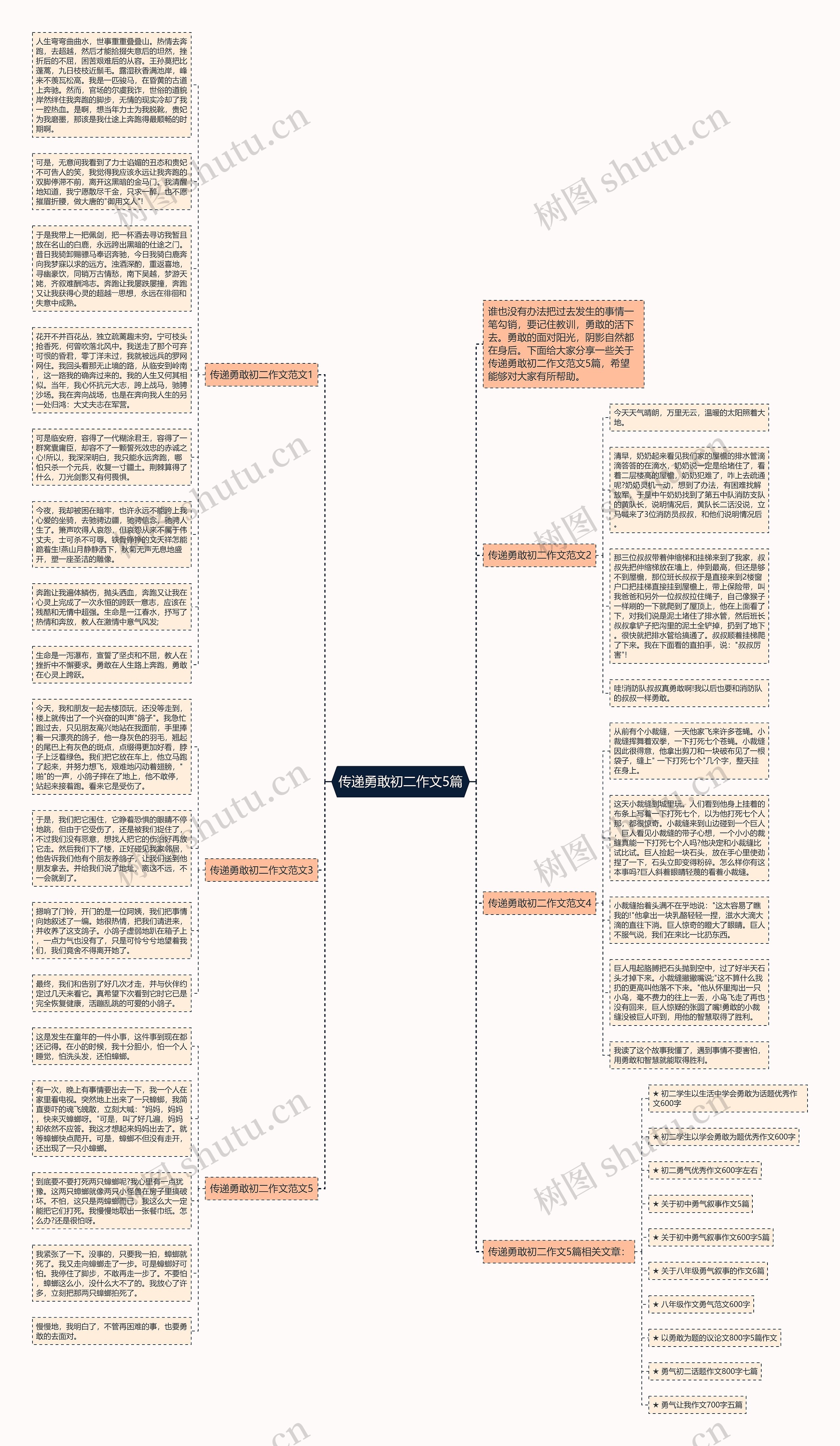 传递勇敢初二作文5篇思维导图