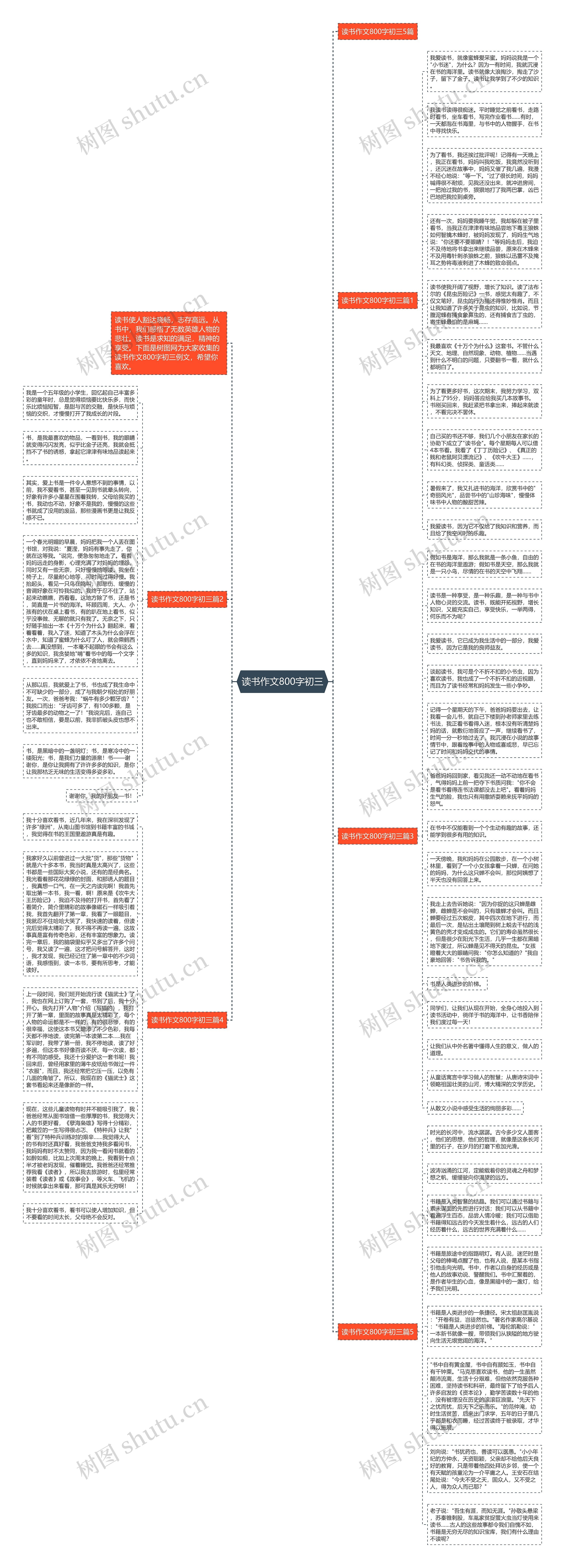 读书作文800字初三思维导图