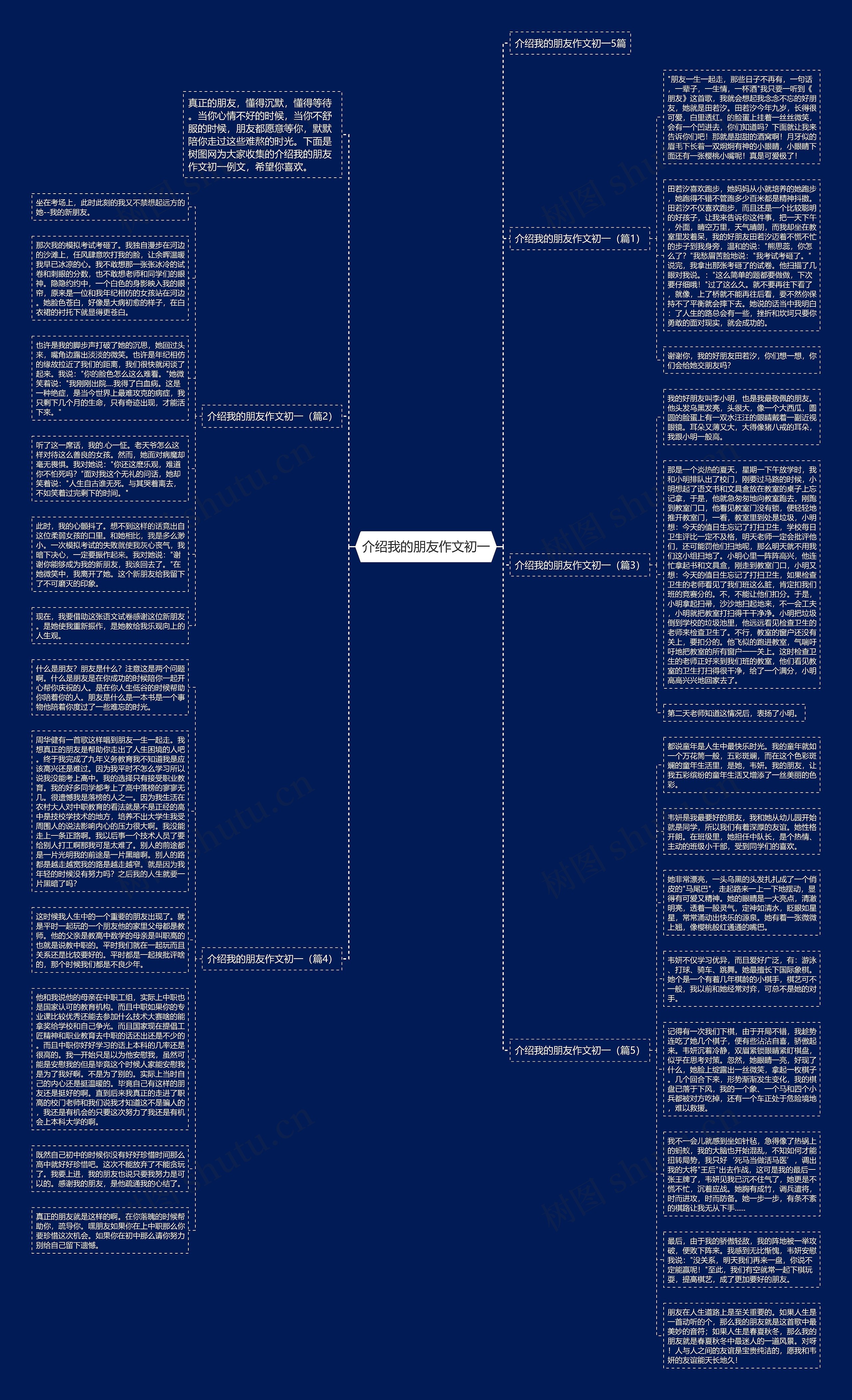 介绍我的朋友作文初一思维导图