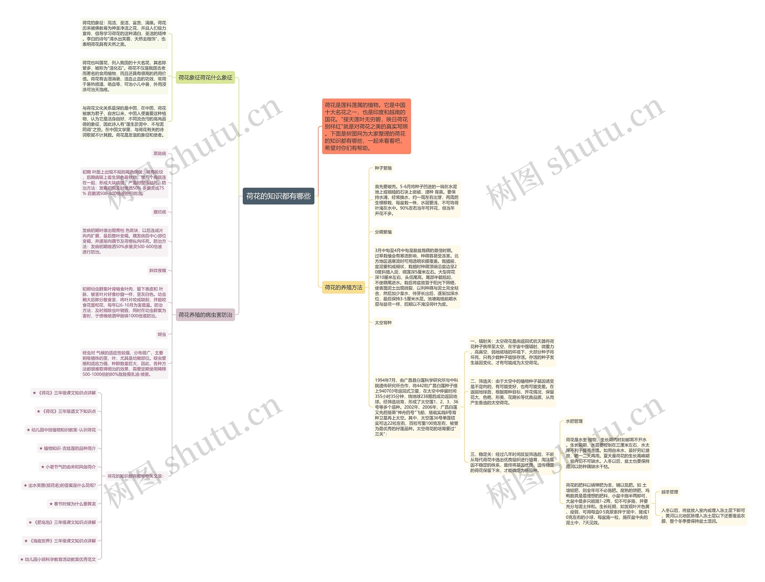 荷花的知识都有哪些思维导图