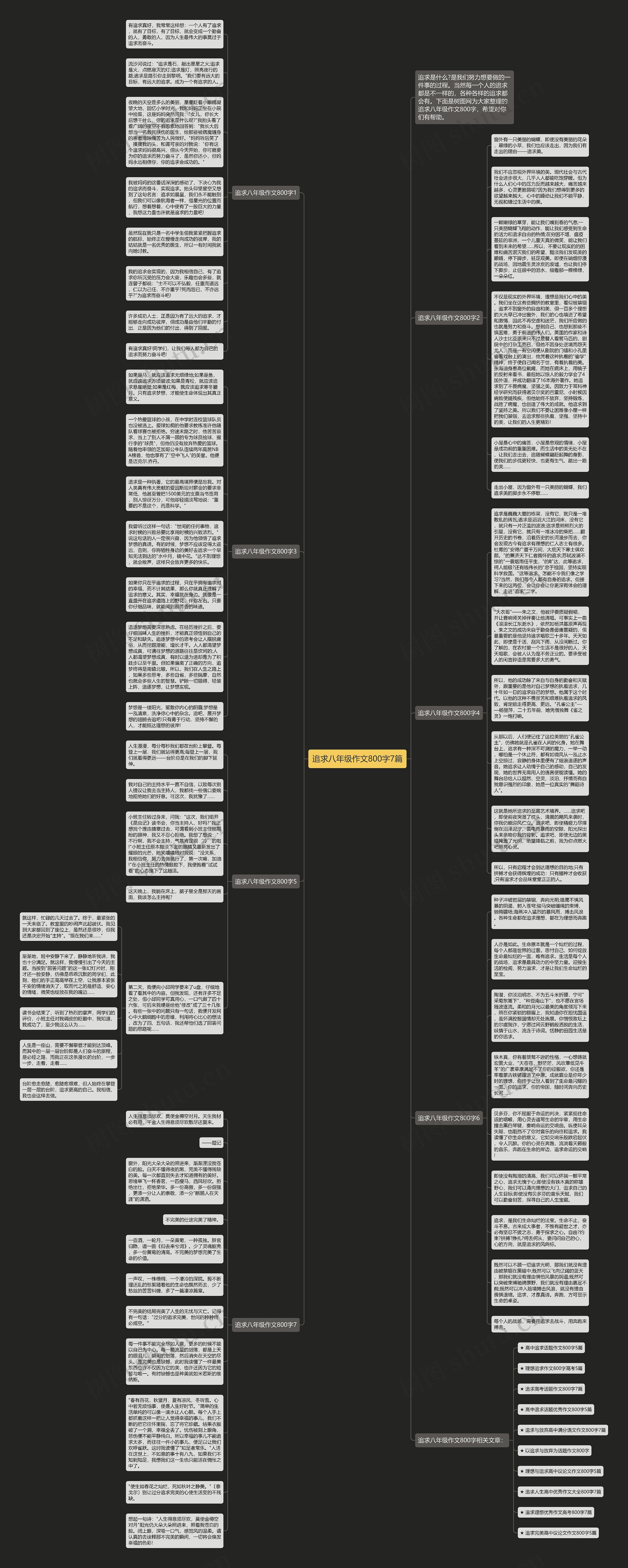 追求八年级作文800字7篇思维导图