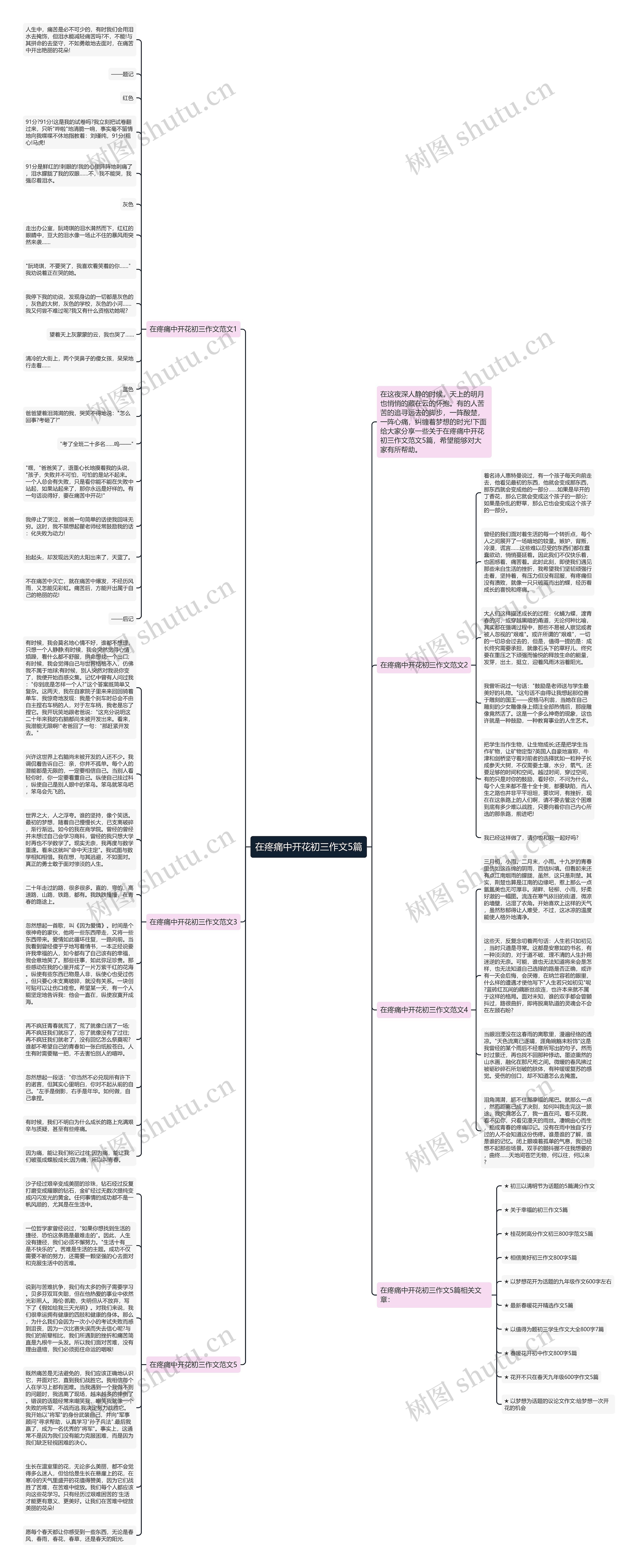 在疼痛中开花初三作文5篇思维导图