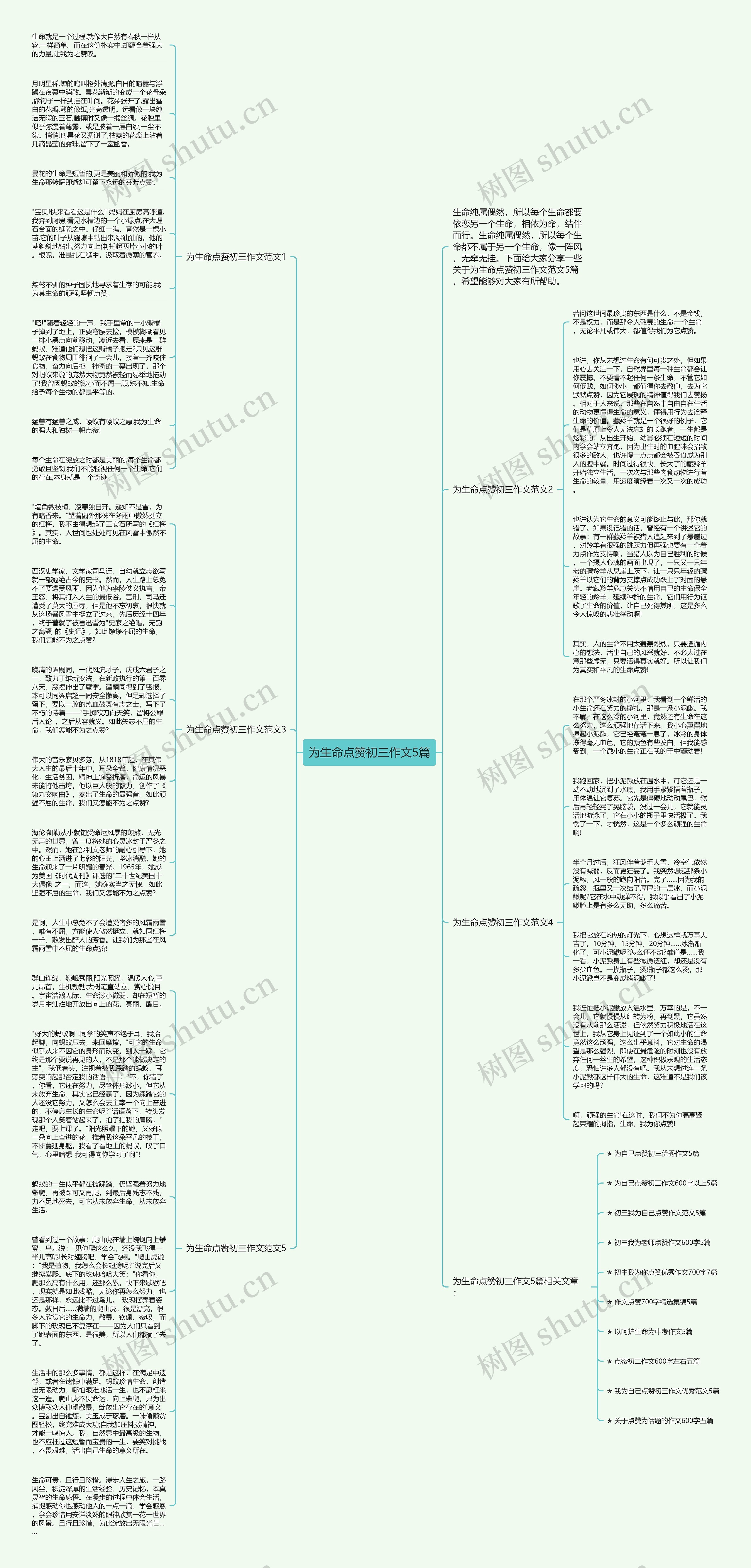 为生命点赞初三作文5篇思维导图