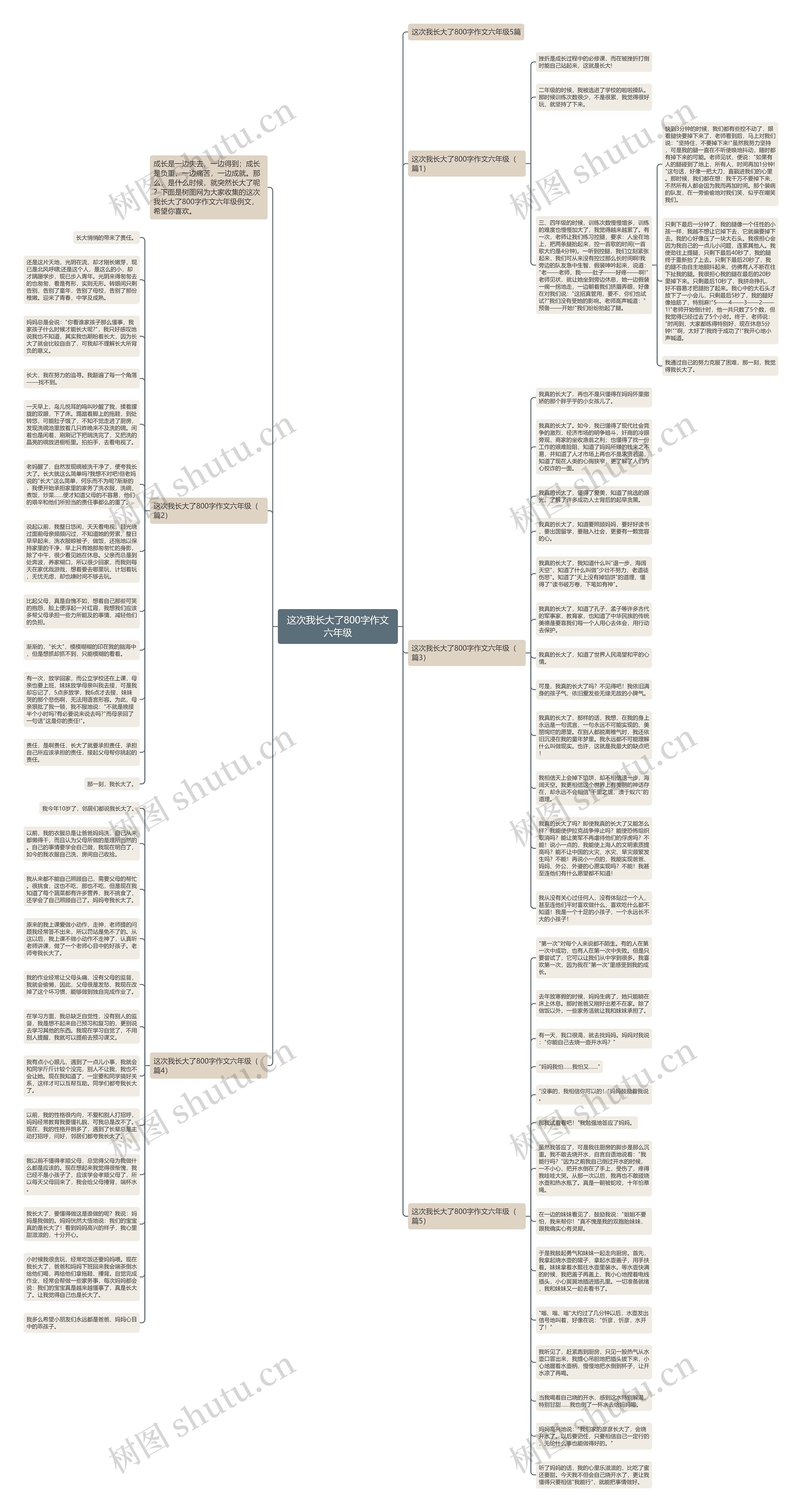 这次我长大了800字作文六年级思维导图