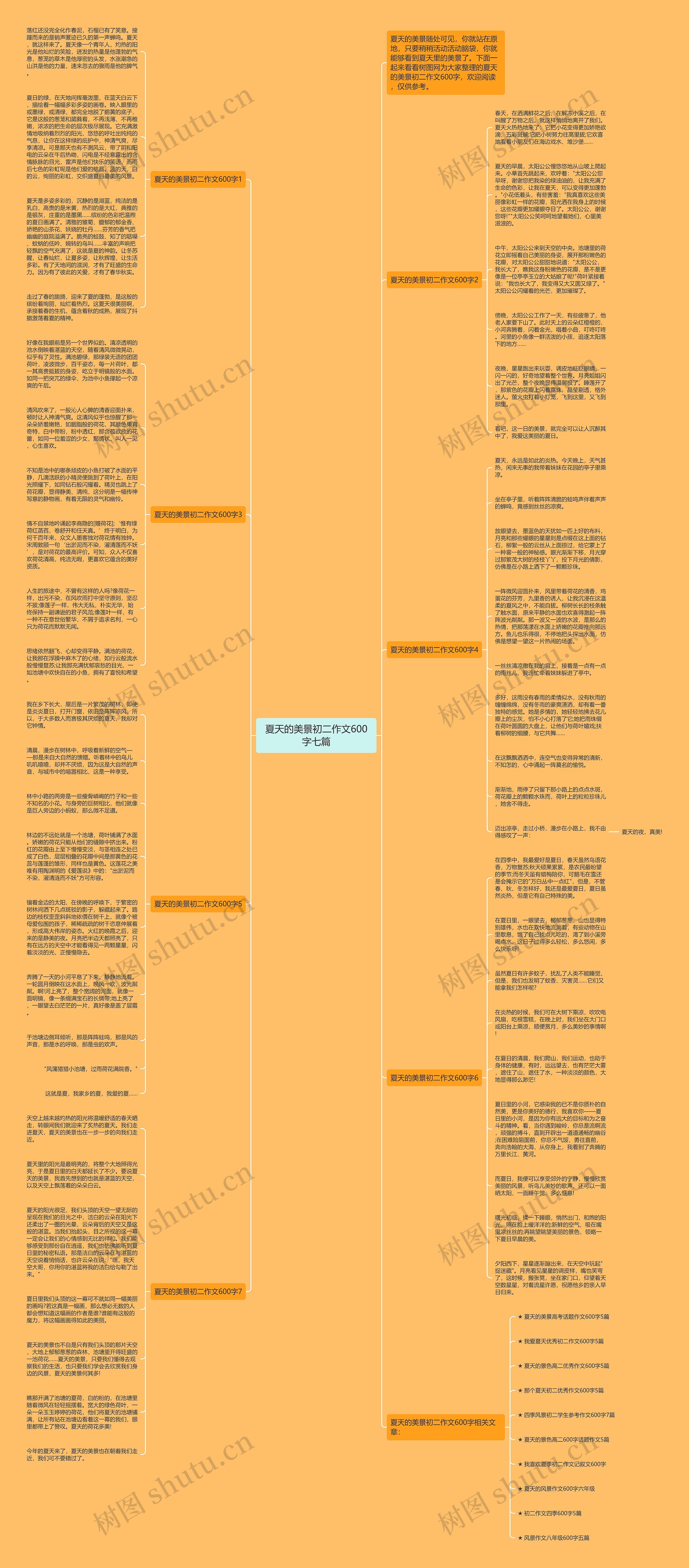 夏天的美景初二作文600字七篇思维导图