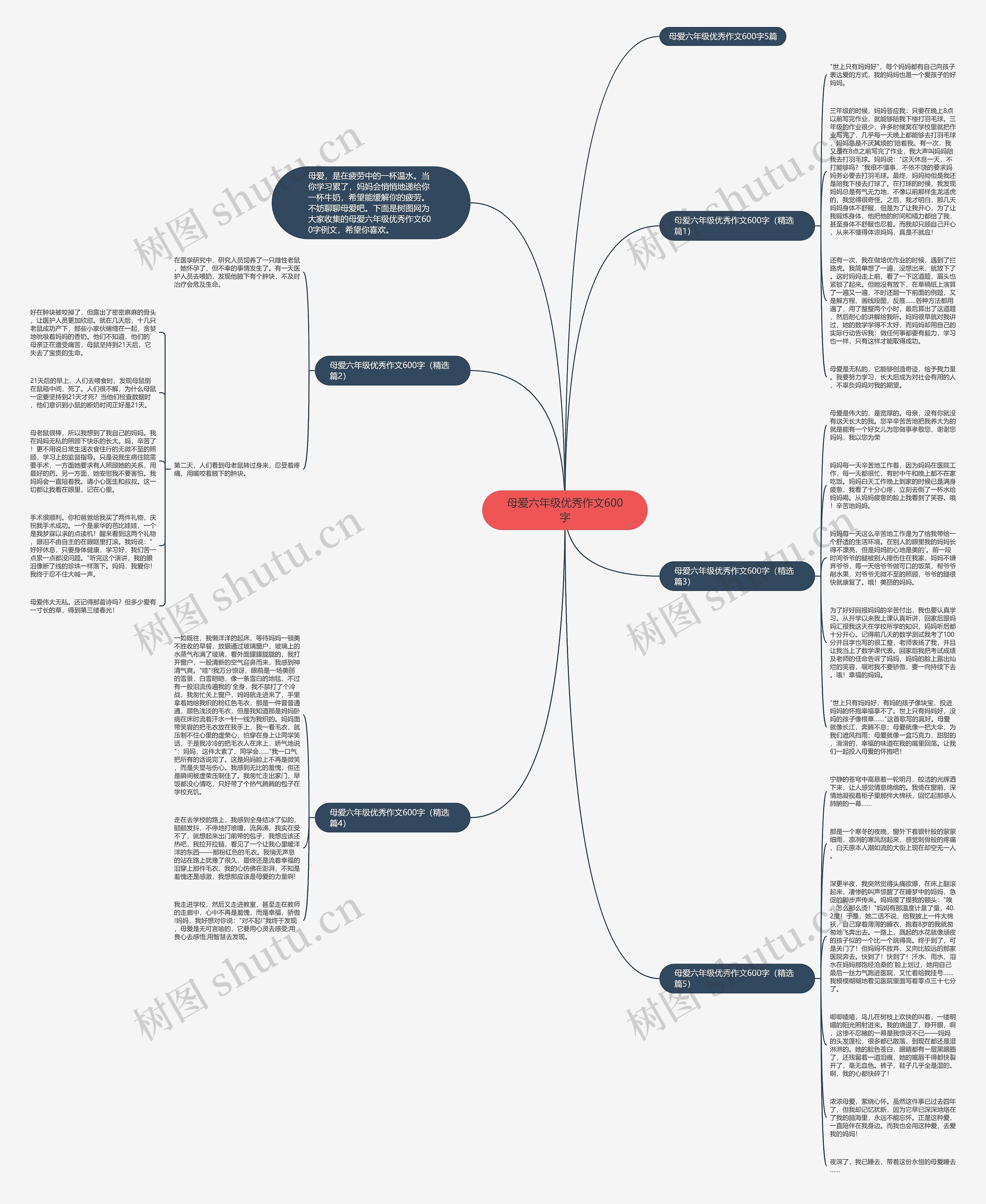 母爱六年级优秀作文600字思维导图