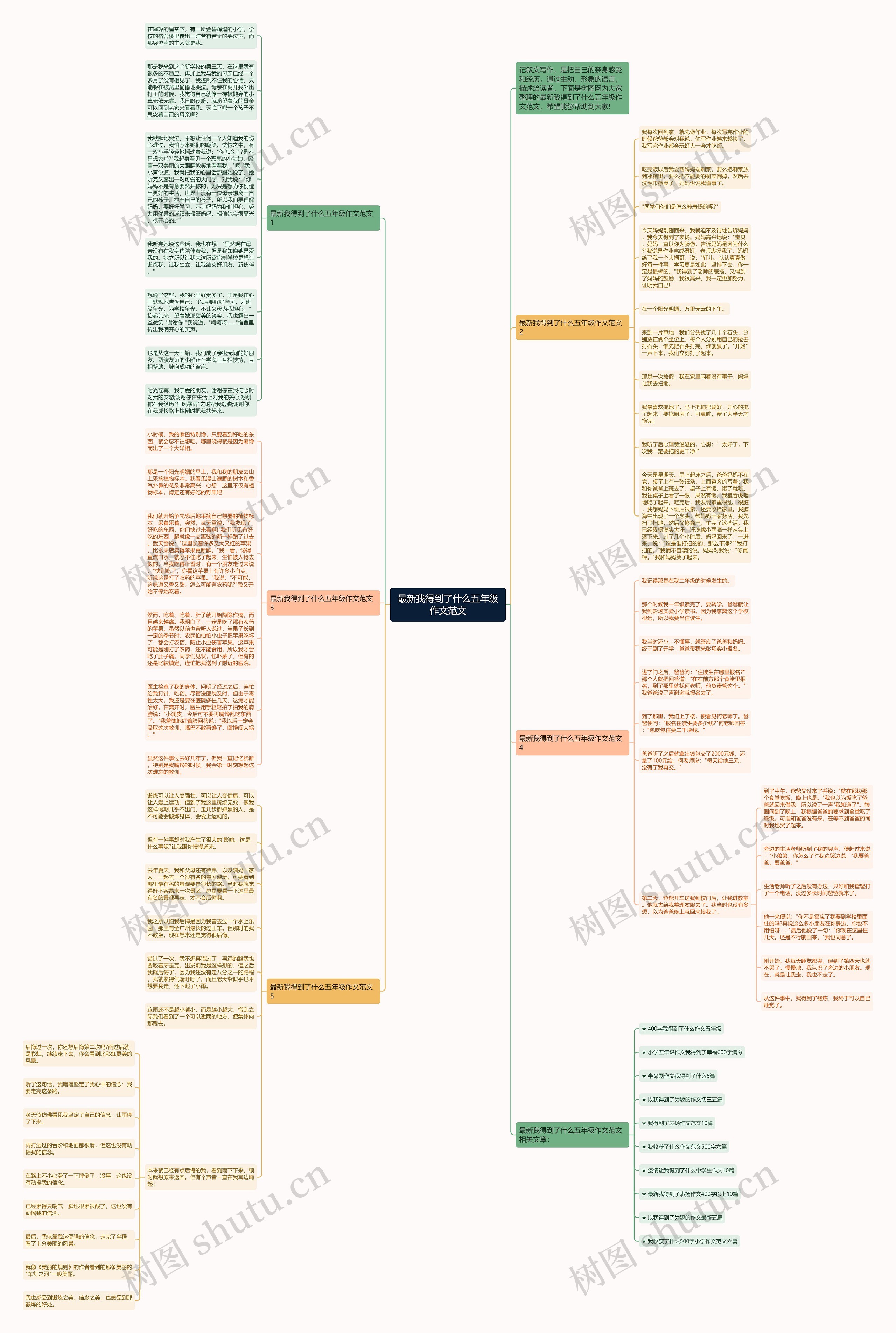 最新我得到了什么五年级作文范文思维导图