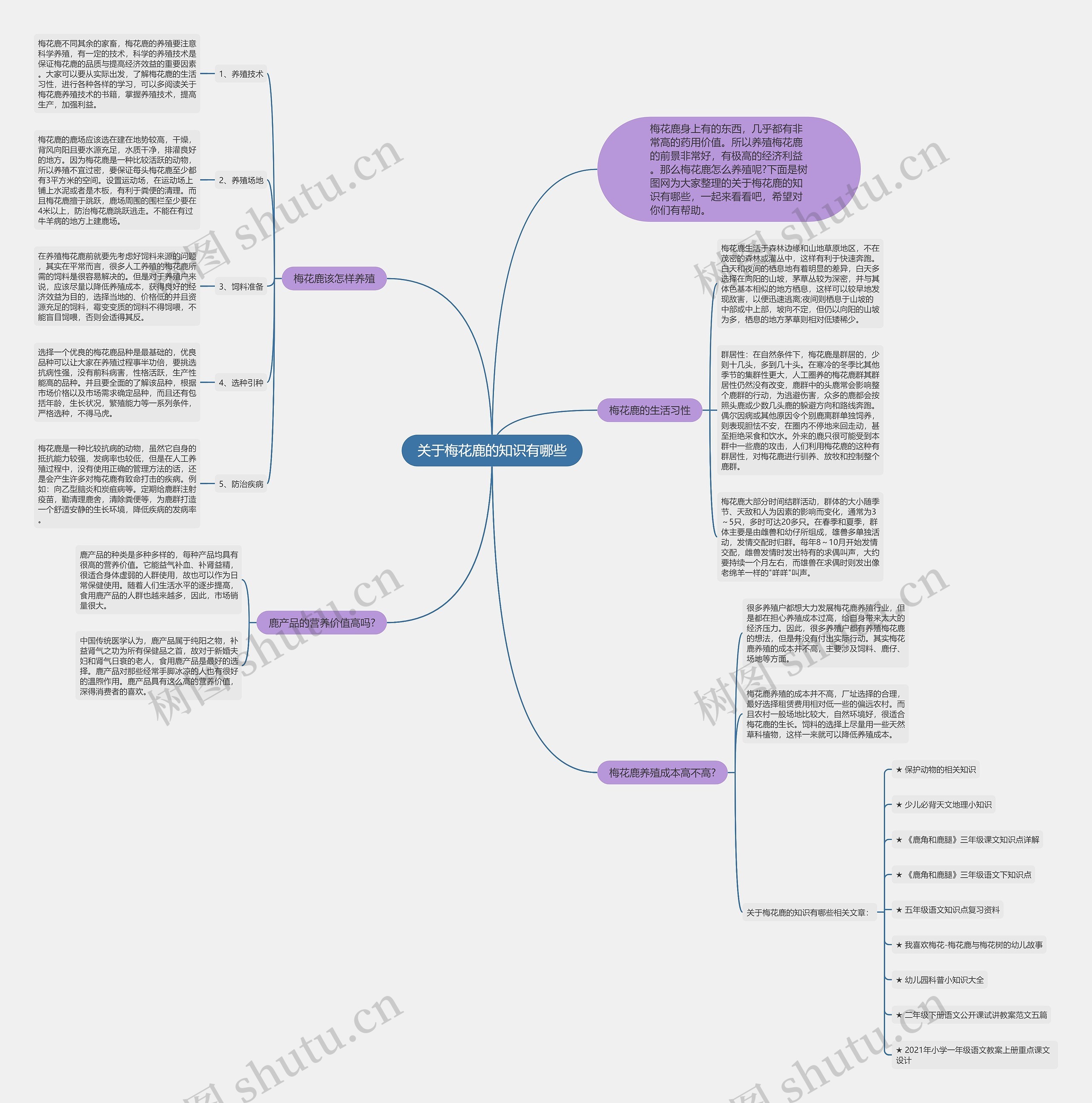 关于梅花鹿的知识有哪些思维导图