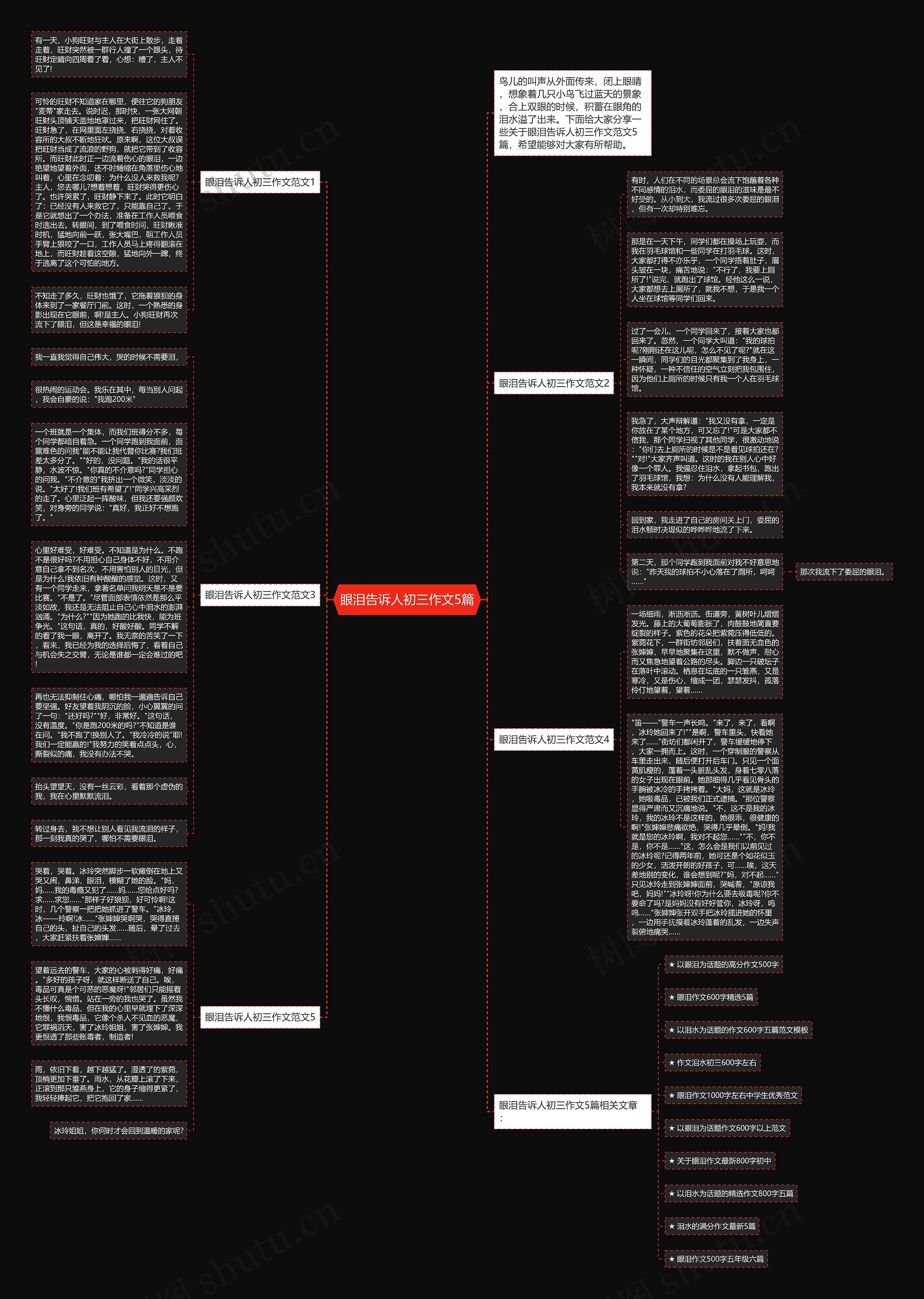 眼泪告诉人初三作文5篇