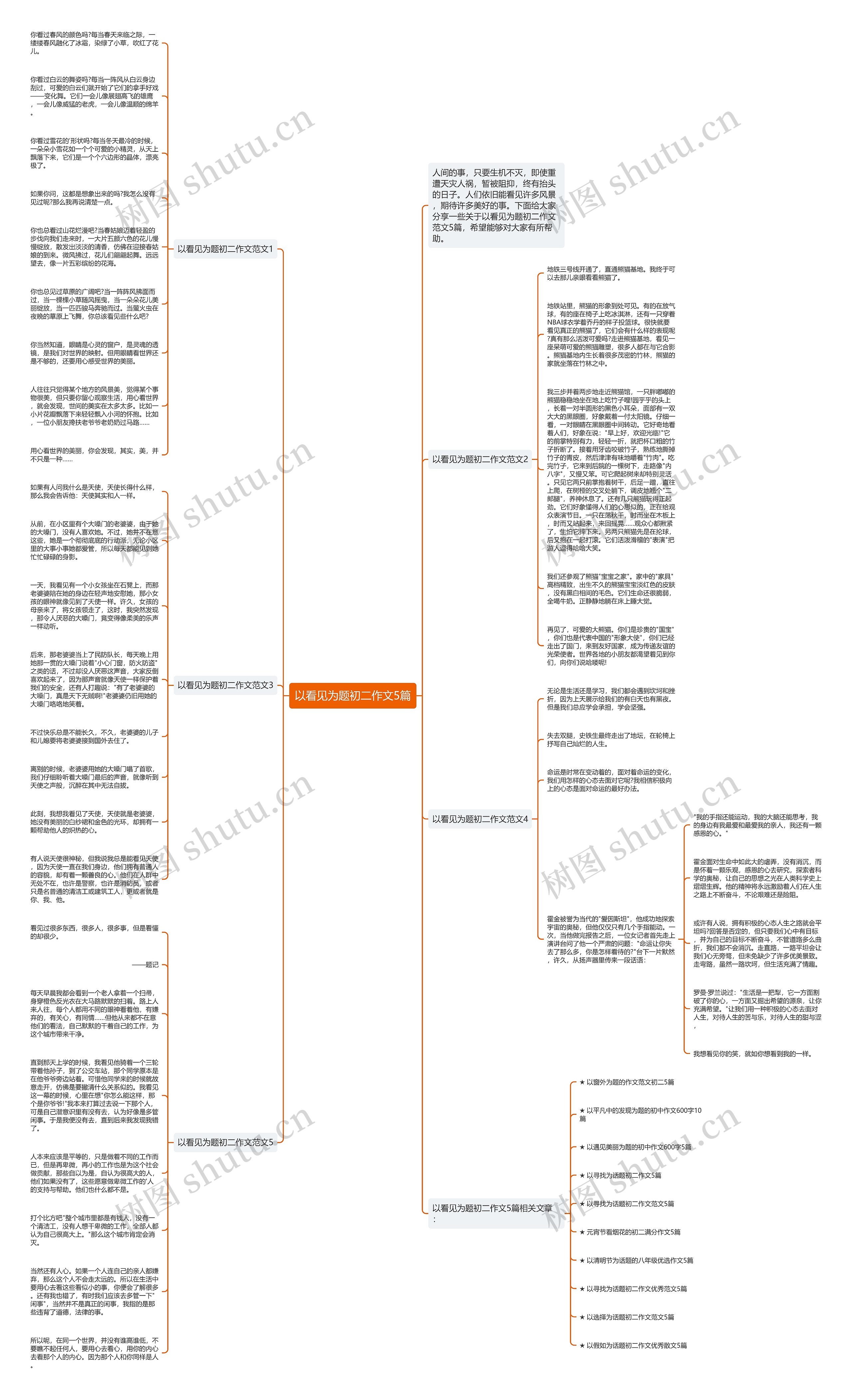 以看见为题初二作文5篇思维导图