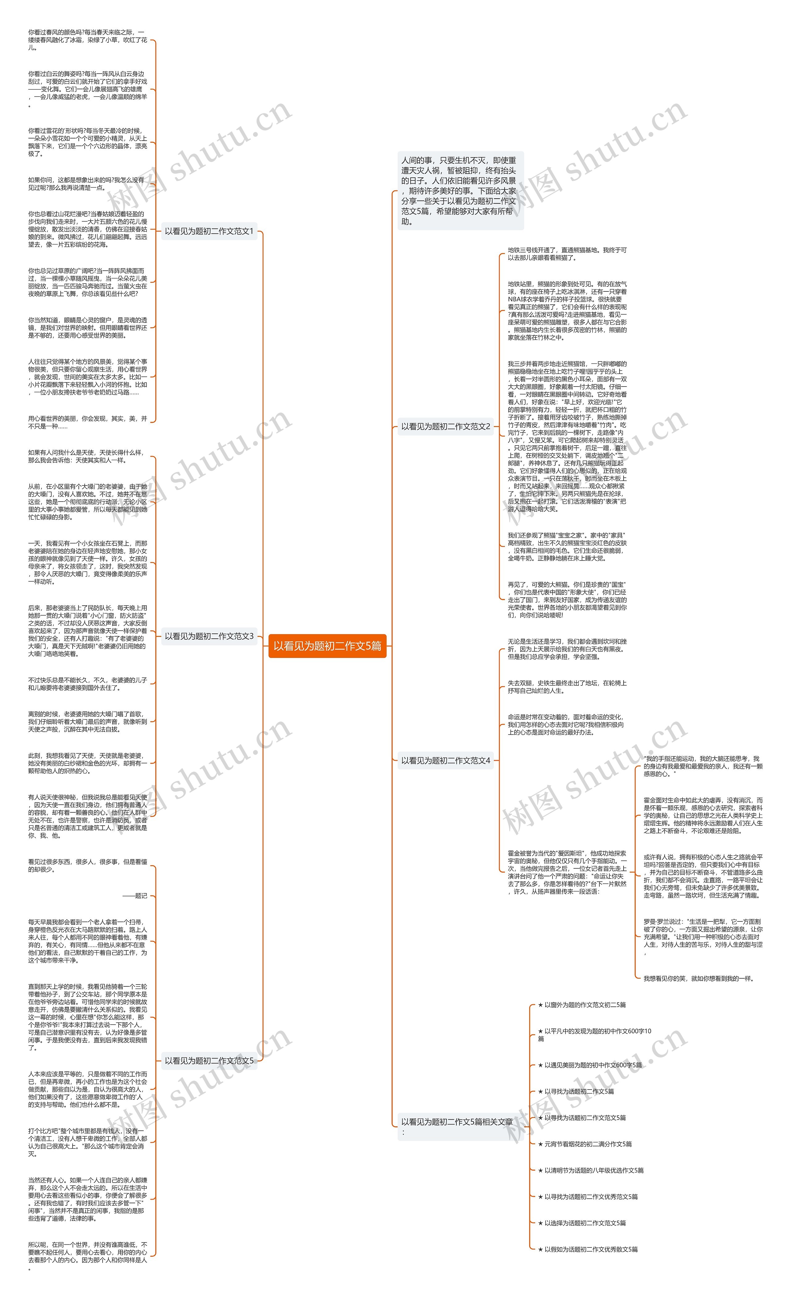 以看见为题初二作文5篇思维导图高清图 以看见为题初二作文5篇思维导图