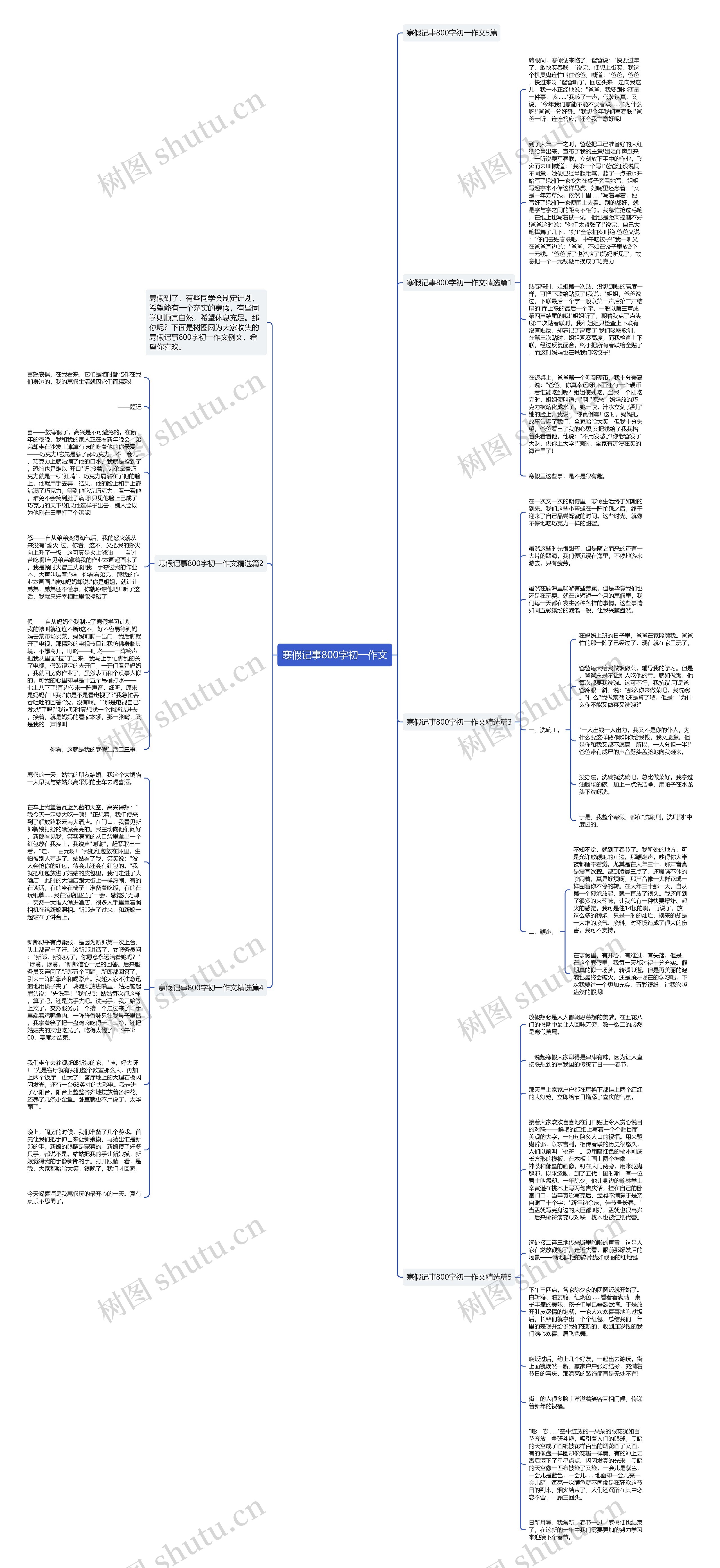 寒假记事800字初一作文思维导图