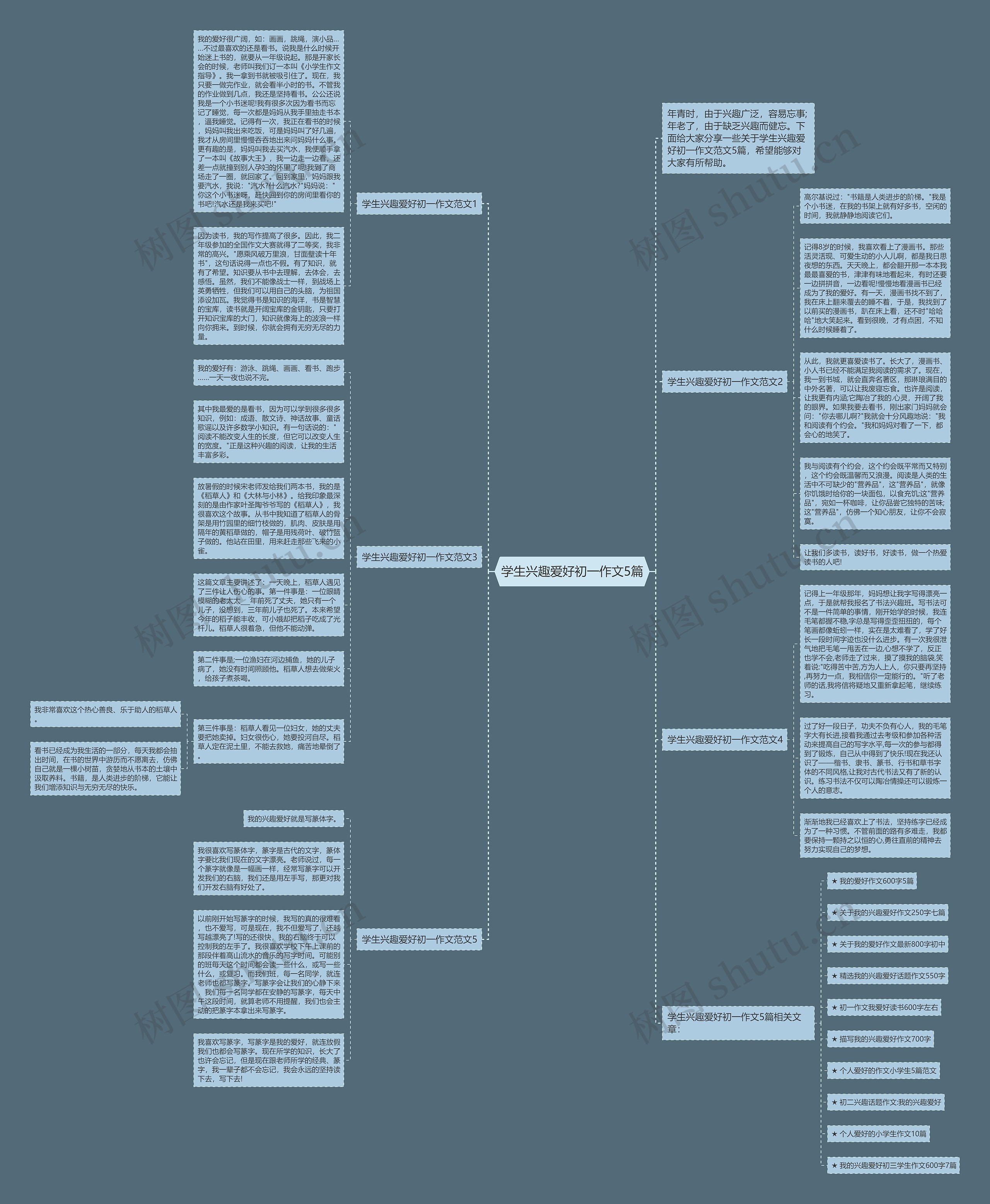 学生兴趣爱好初一作文5篇思维导图