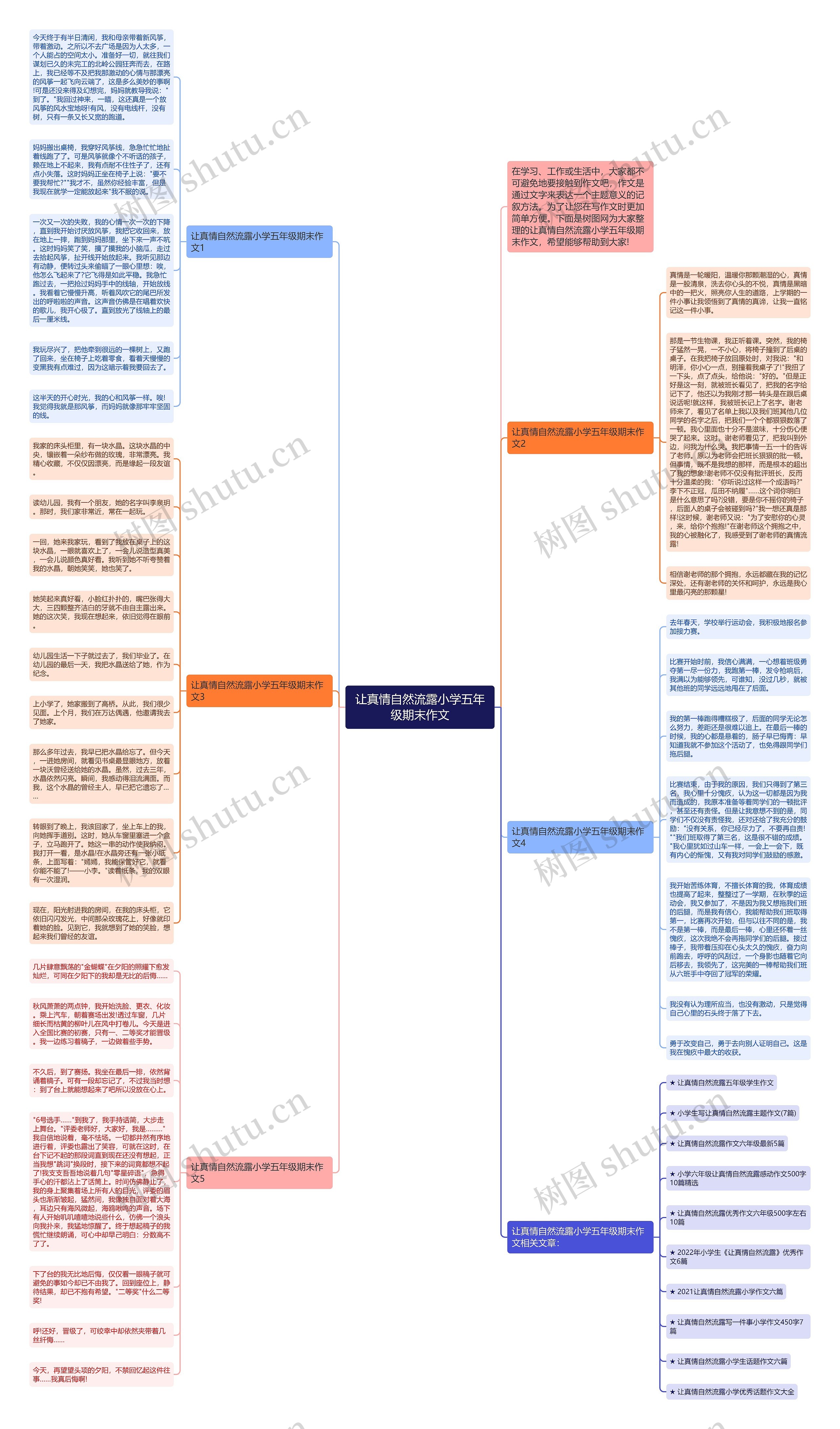 让真情自然流露小学五年级期末作文思维导图