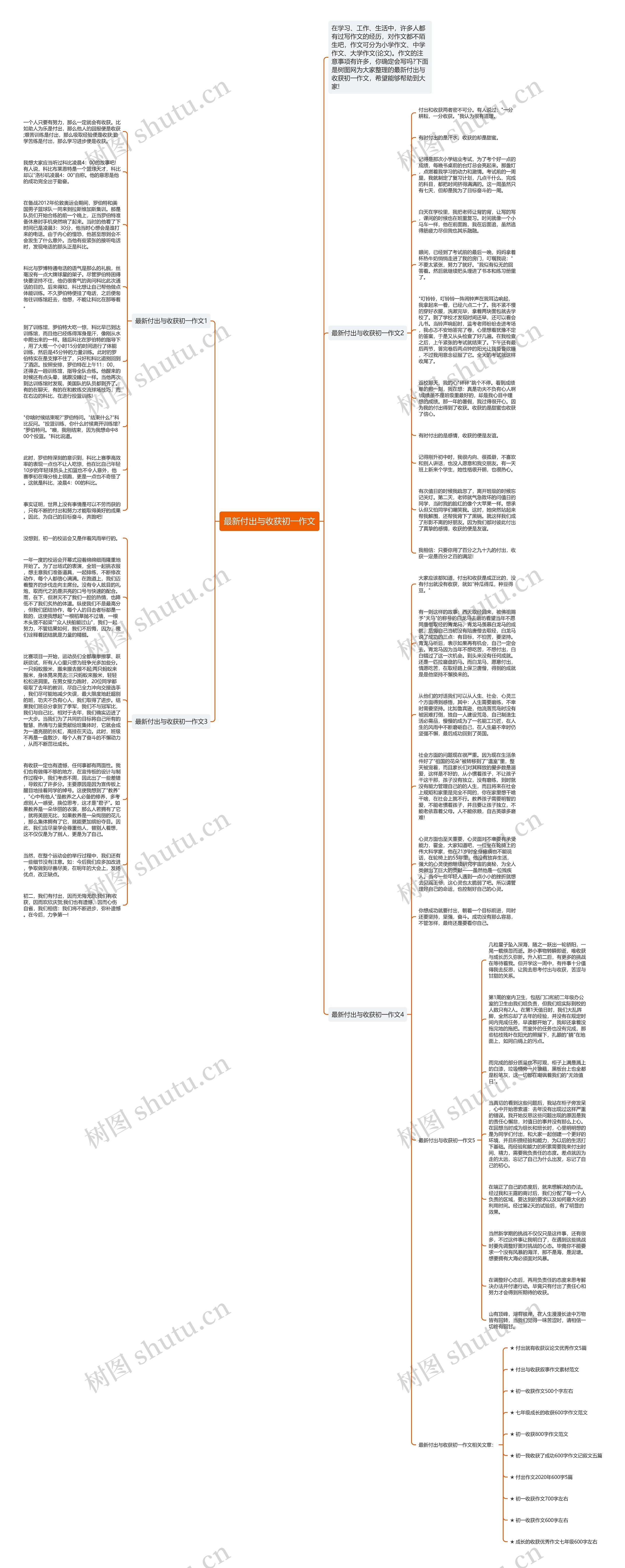 最新付出与收获初一作文思维导图