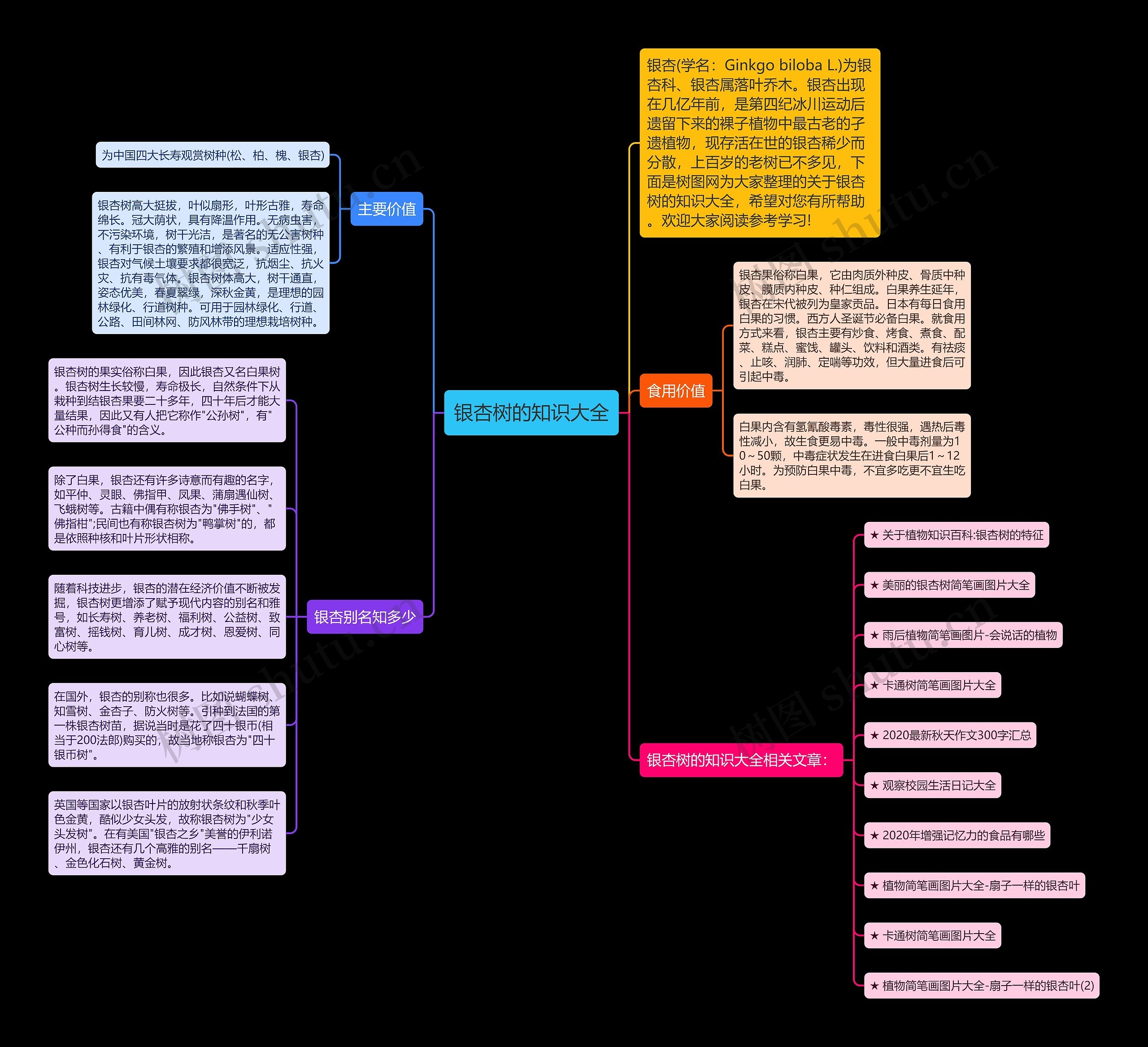 银杏树的知识大全思维导图