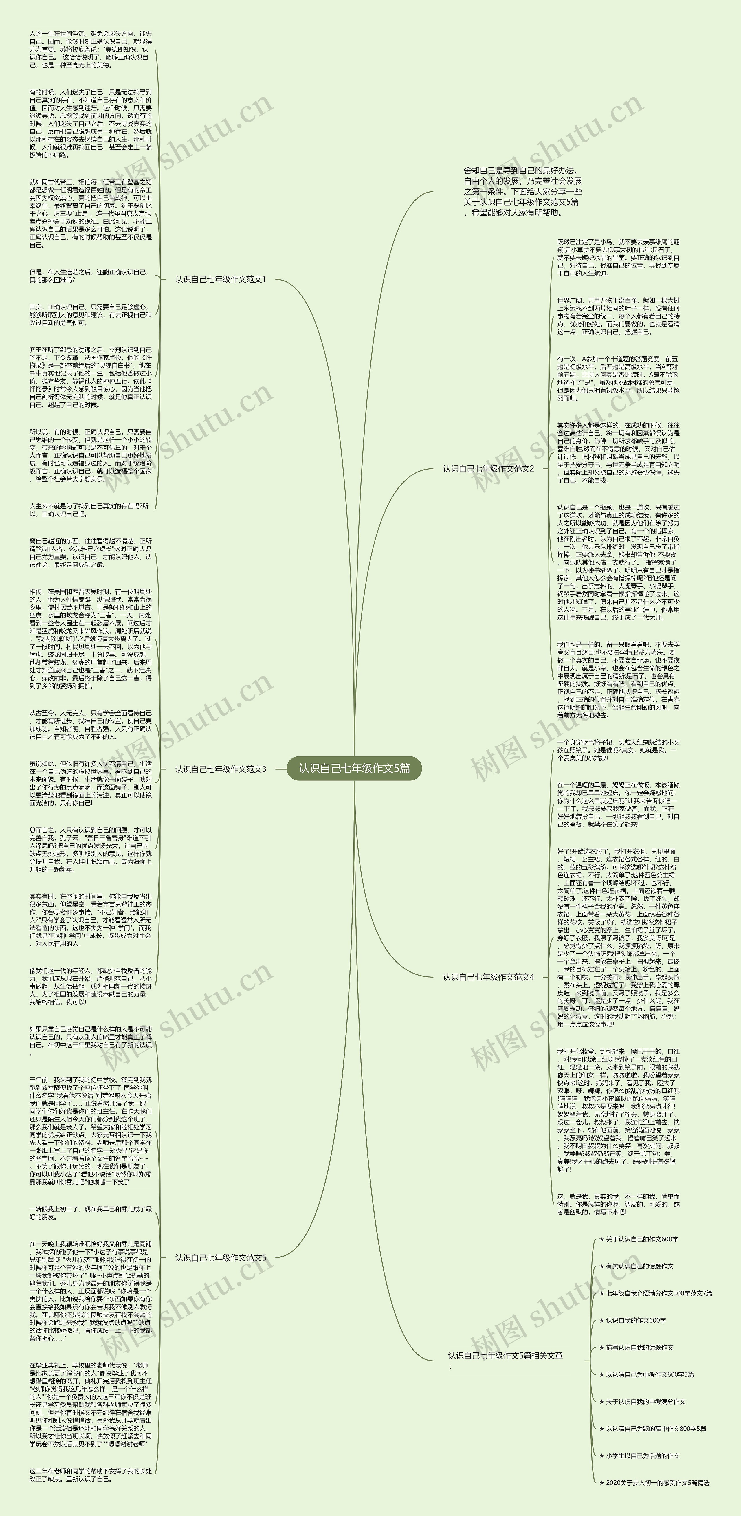 认识自己七年级作文5篇思维导图
