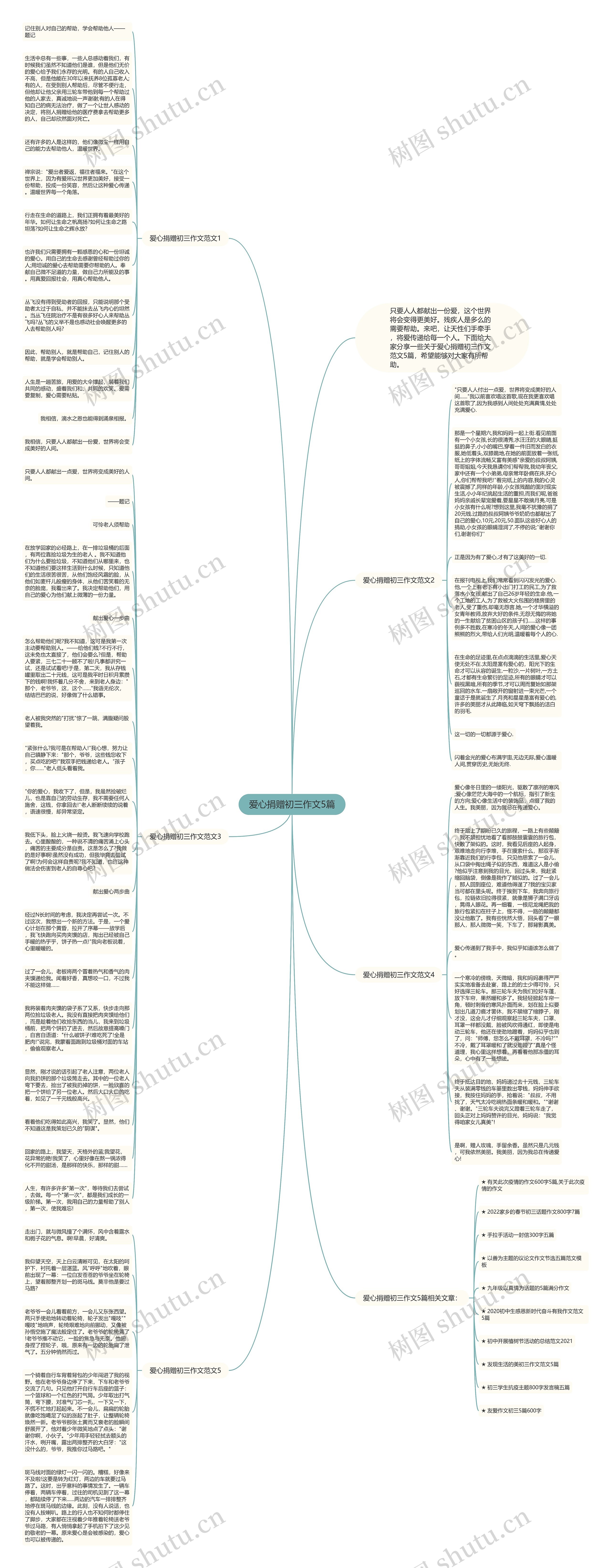 爱心捐赠初三作文5篇思维导图