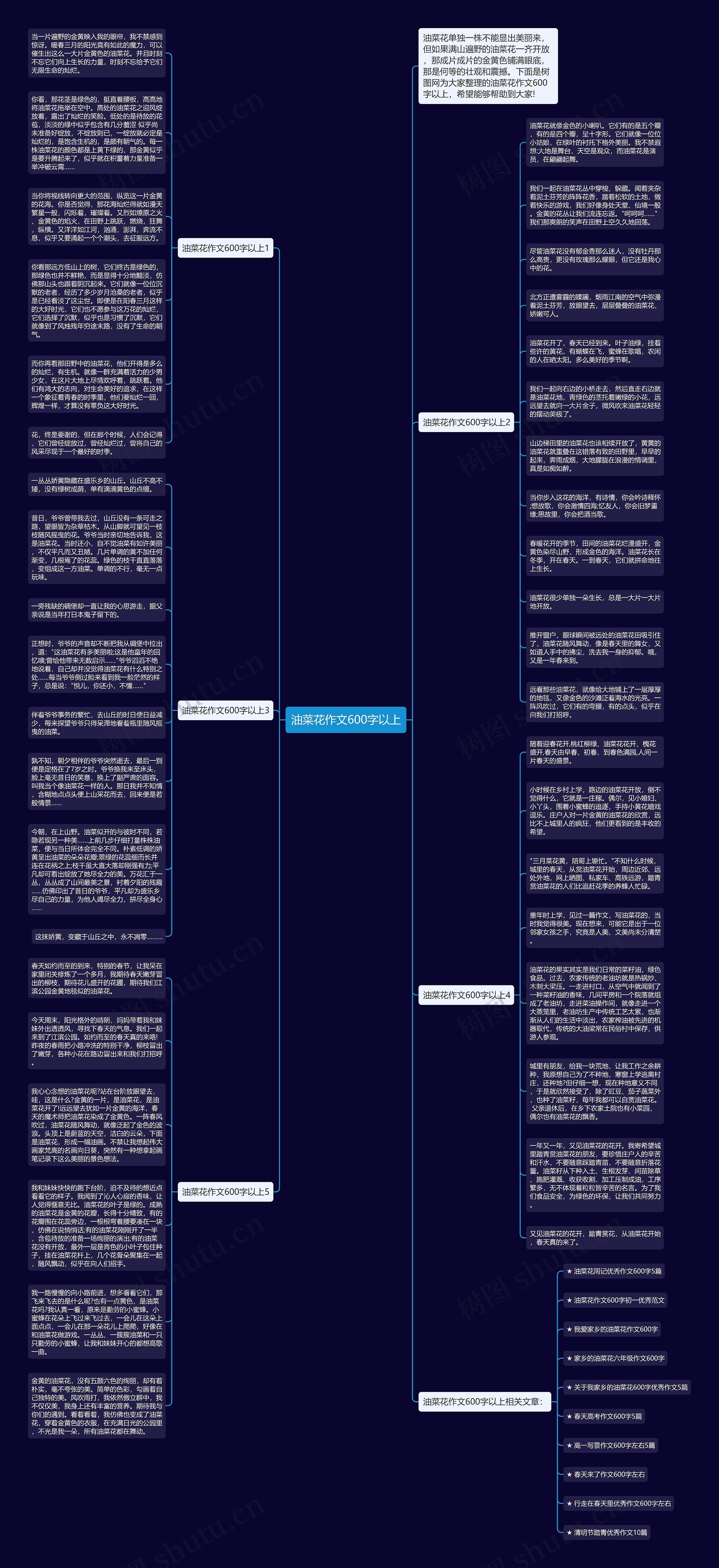 油菜花作文600字以上思维导图