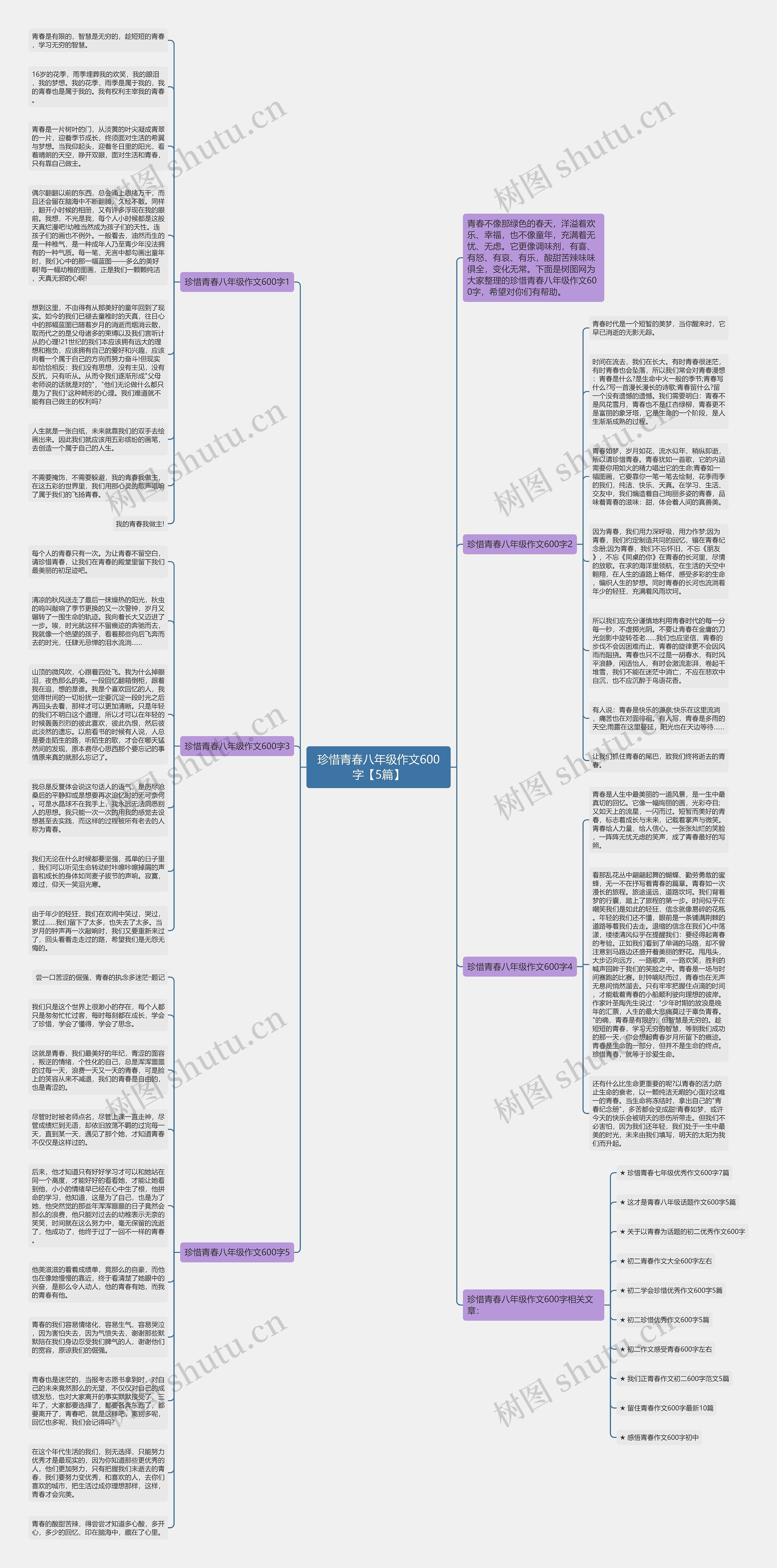 珍惜青春八年级作文600字【5篇】思维导图